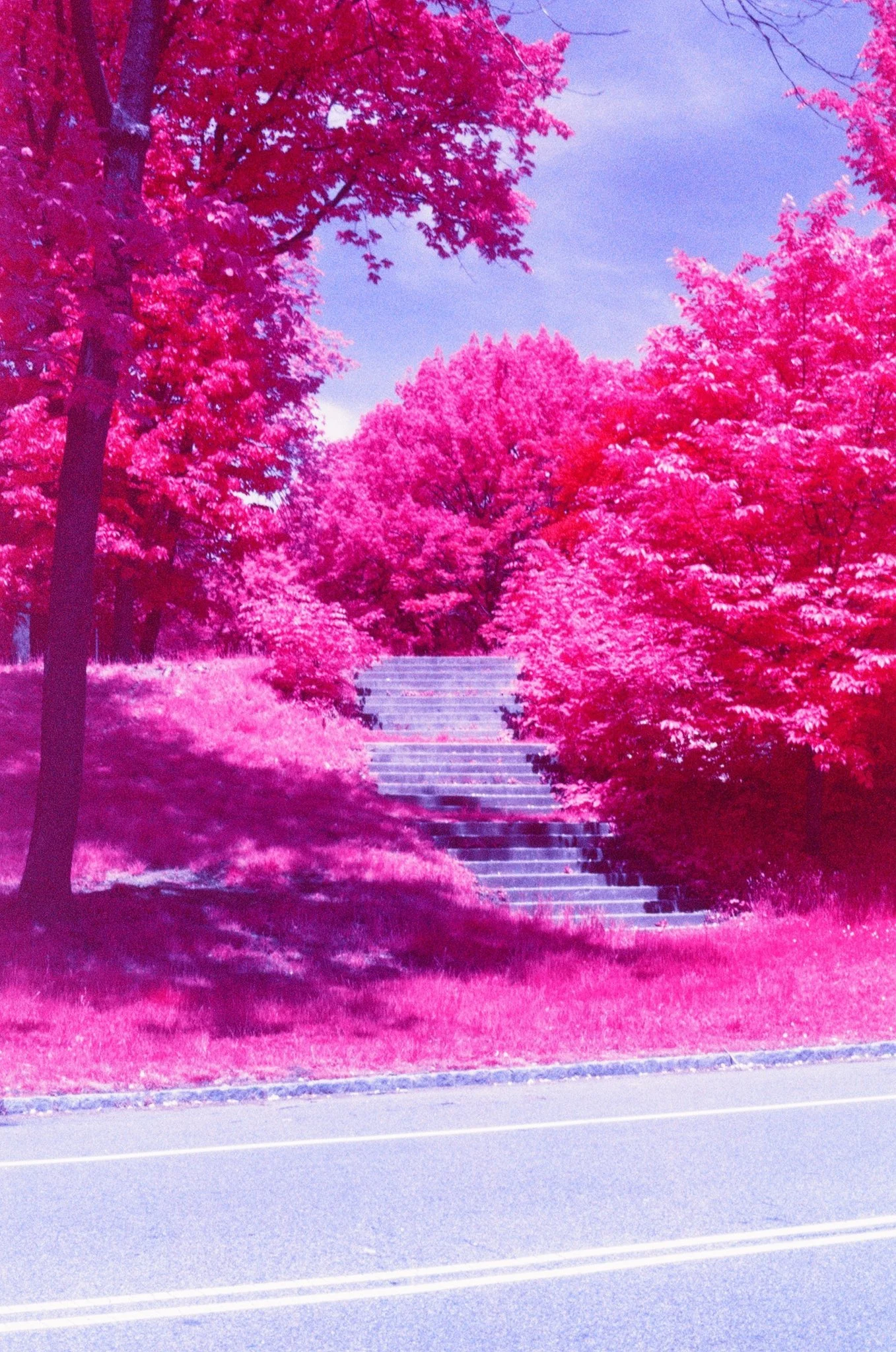 366A1C73-E437-42CA-9680-8F1ED94C560D.jpeg