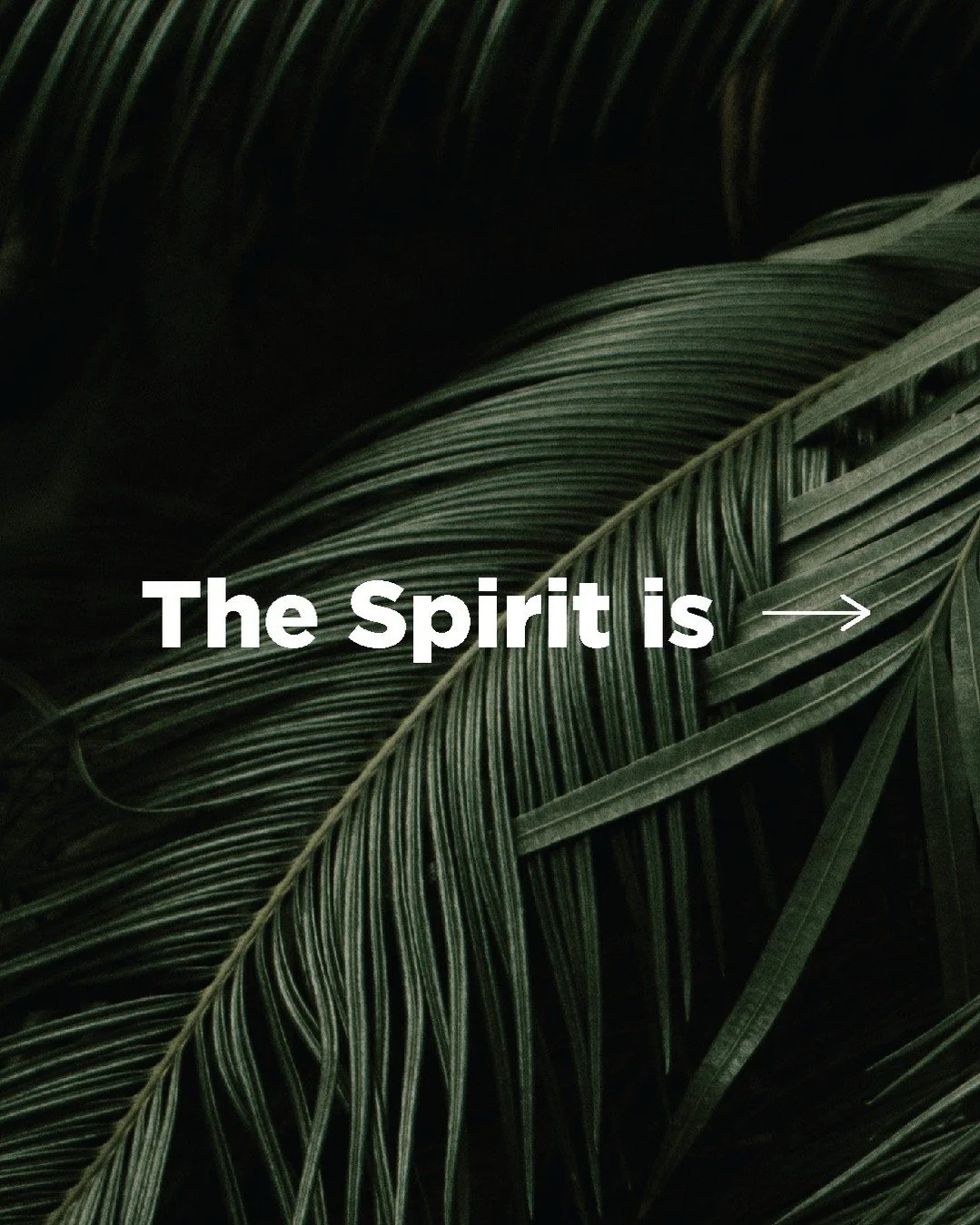 &ldquo;I believe in the Holy Spirit.&rdquo;

This line in the Creed reminds us:
God is not just above us or around us, He is within us.

The Spirit is God, present and active, comforting, empowering, transforming, and sending.

The Spirit raised Jesu