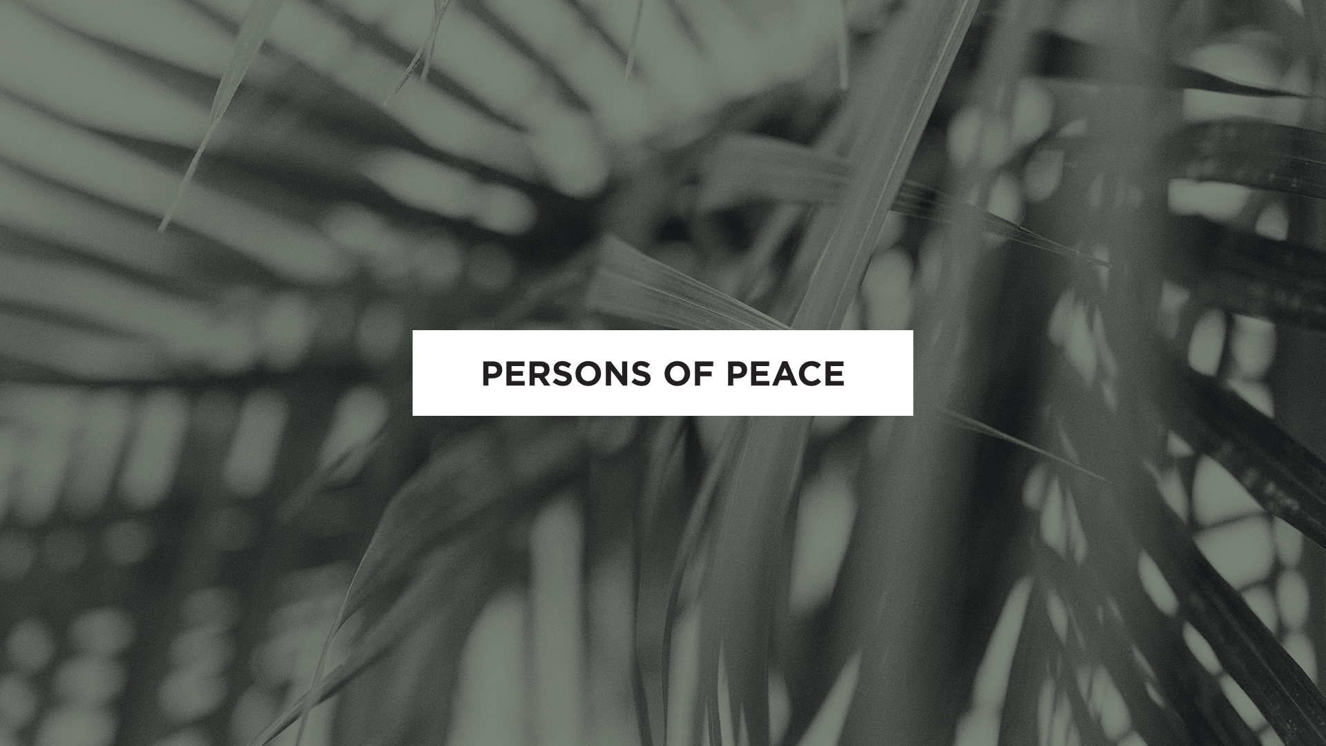 Person of Peace disciple-making model from Luke 10 showing gospel spreading through relationships