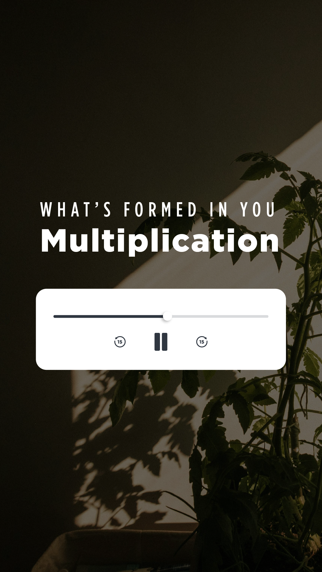 What’s Formed in You: Multiplication