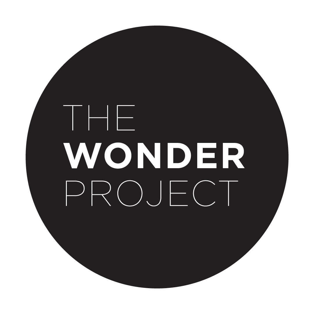 The Wonder Project • IDD