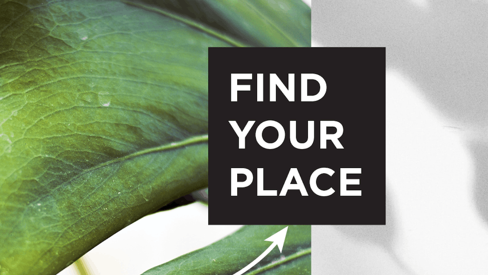 Green leaf texture beside a grayscale background with a black square reading ‘Find Your Place’ and a white arrow pointing upward, representing discovering purpose and calling.