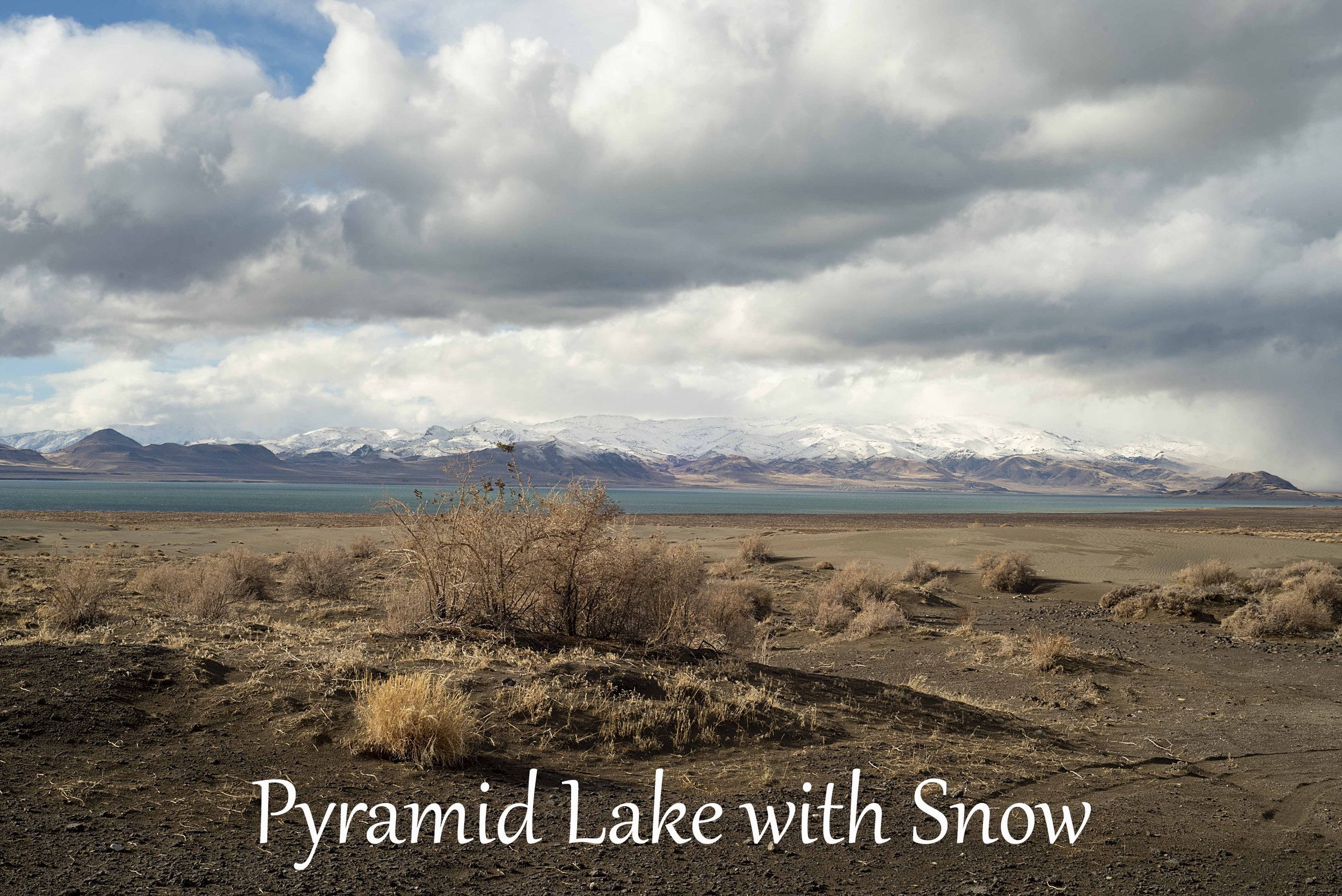 Pyramid Lake teal winter copy 2.jpg