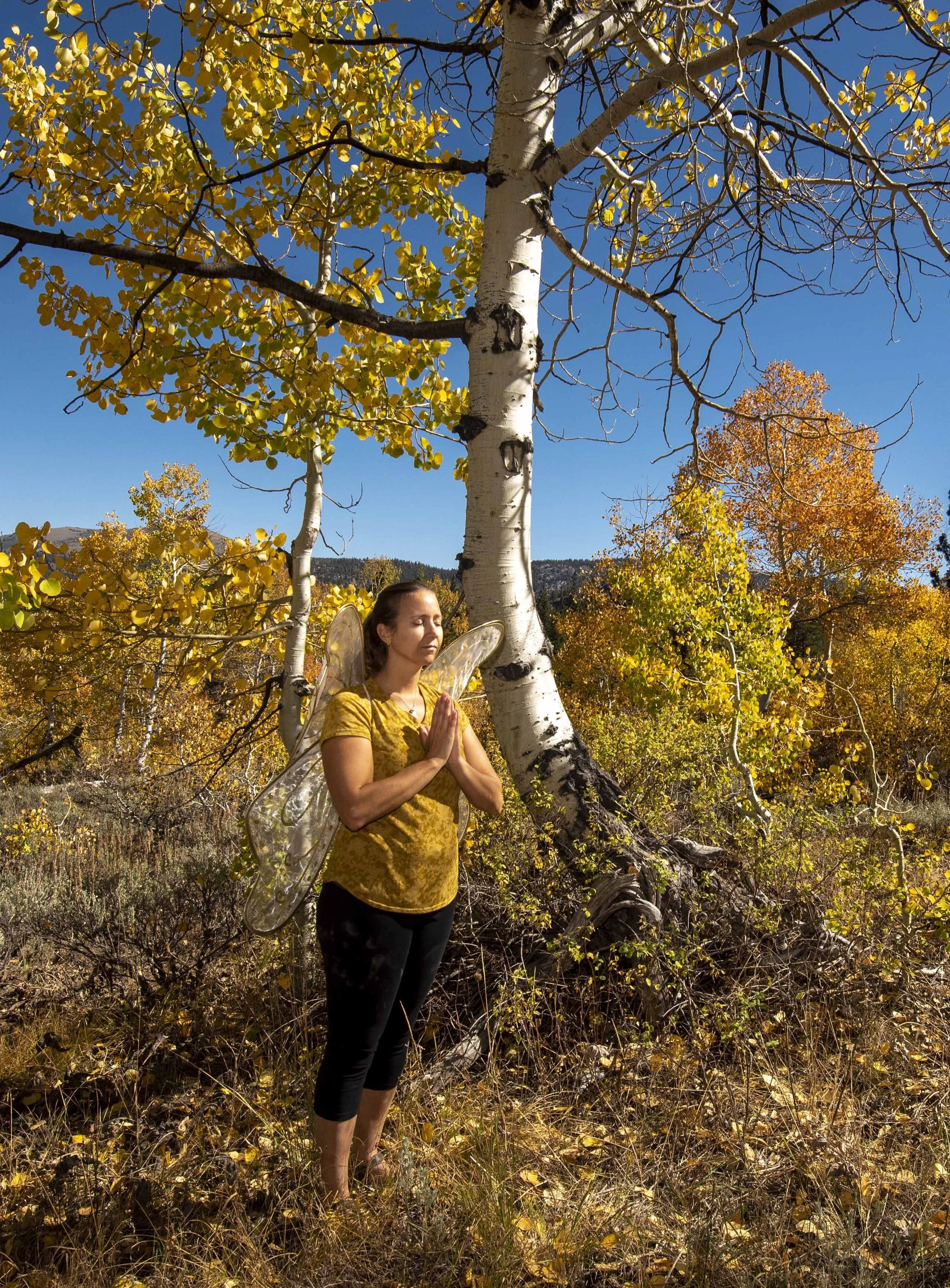 Woman in prayer in nature with fairy wings.  Yoga hands in prayer.