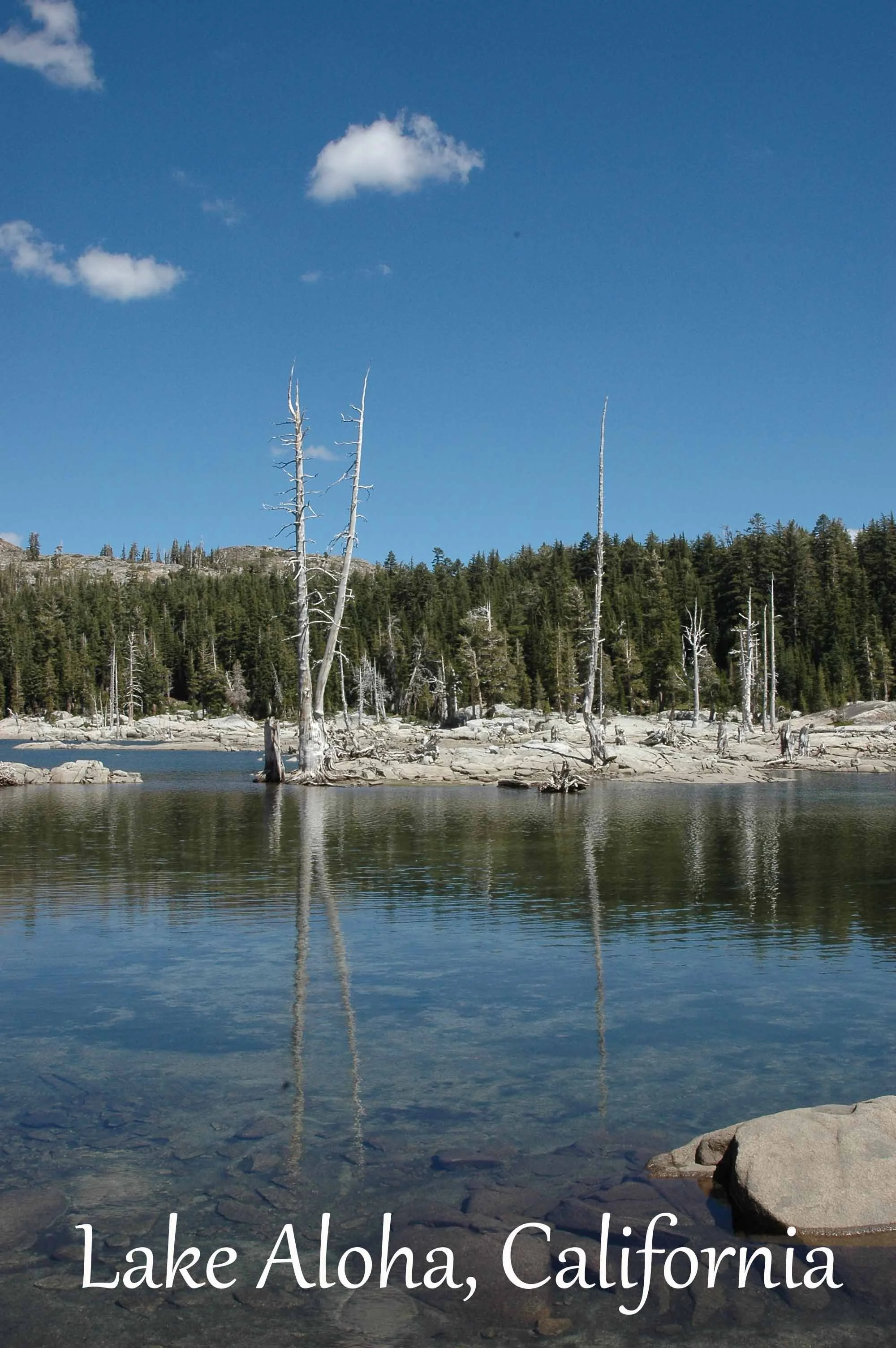 lakealoha0109 copy 2.jpg