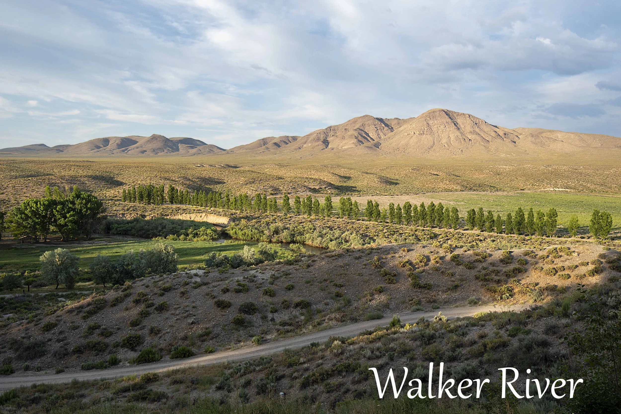 Walker River copy 2.jpg