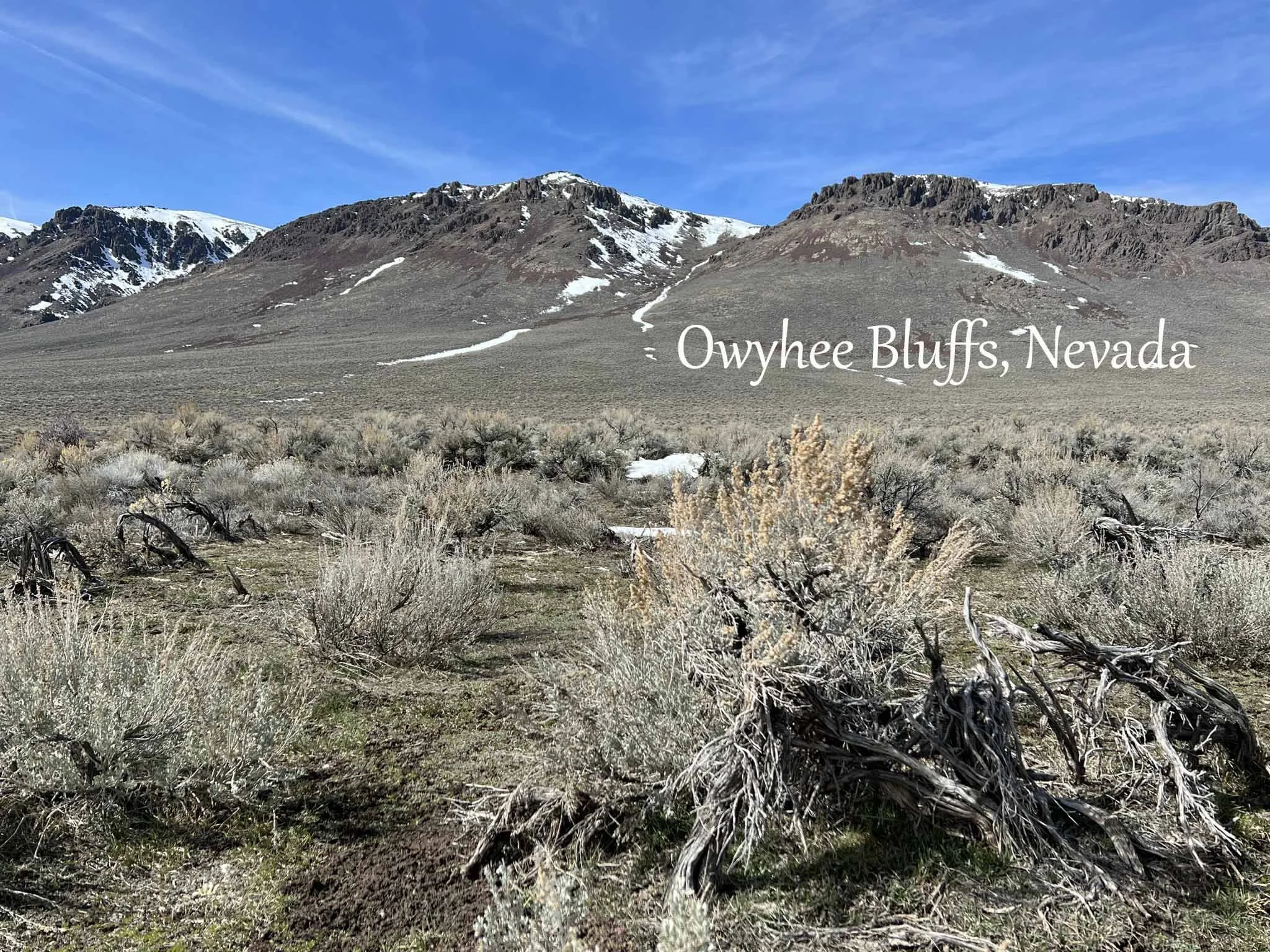Owyhee bluffs spring copy.jpg