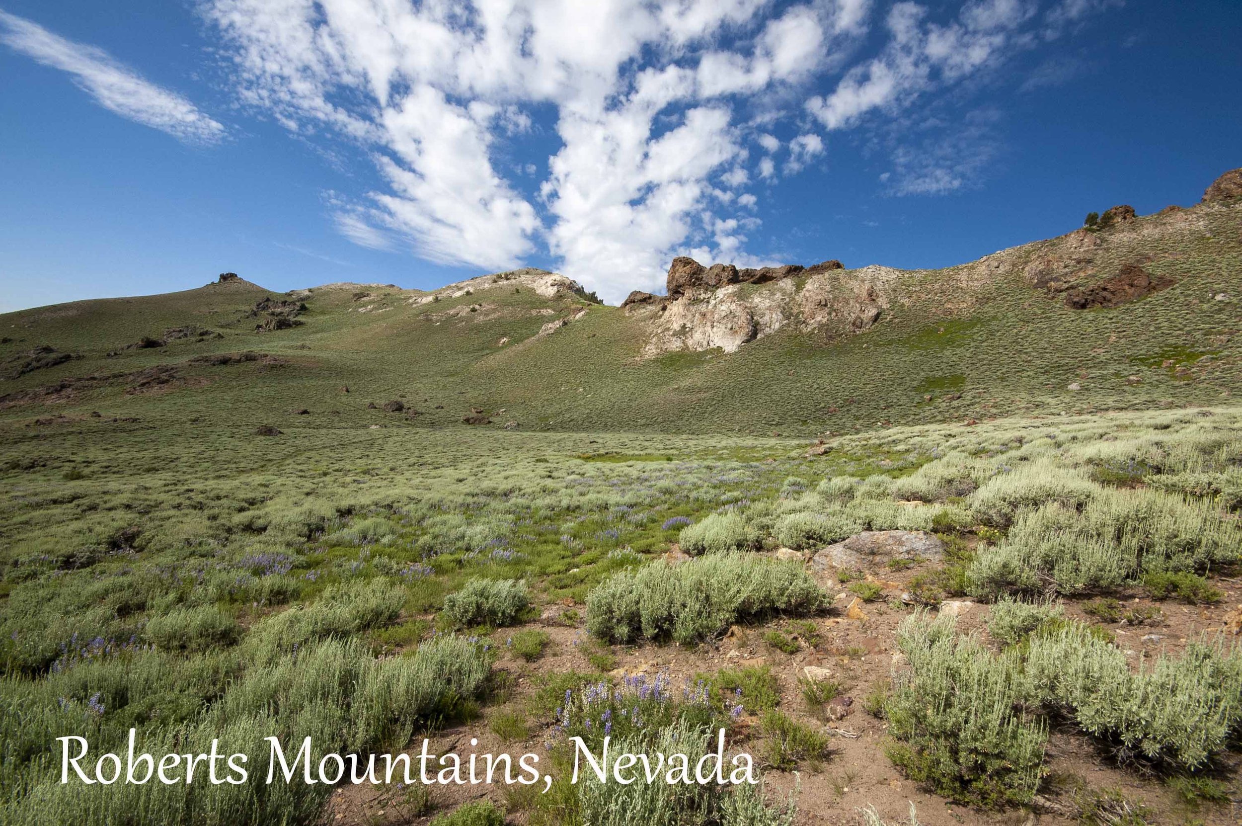 Roberts Mountainslowres copy.jpg
