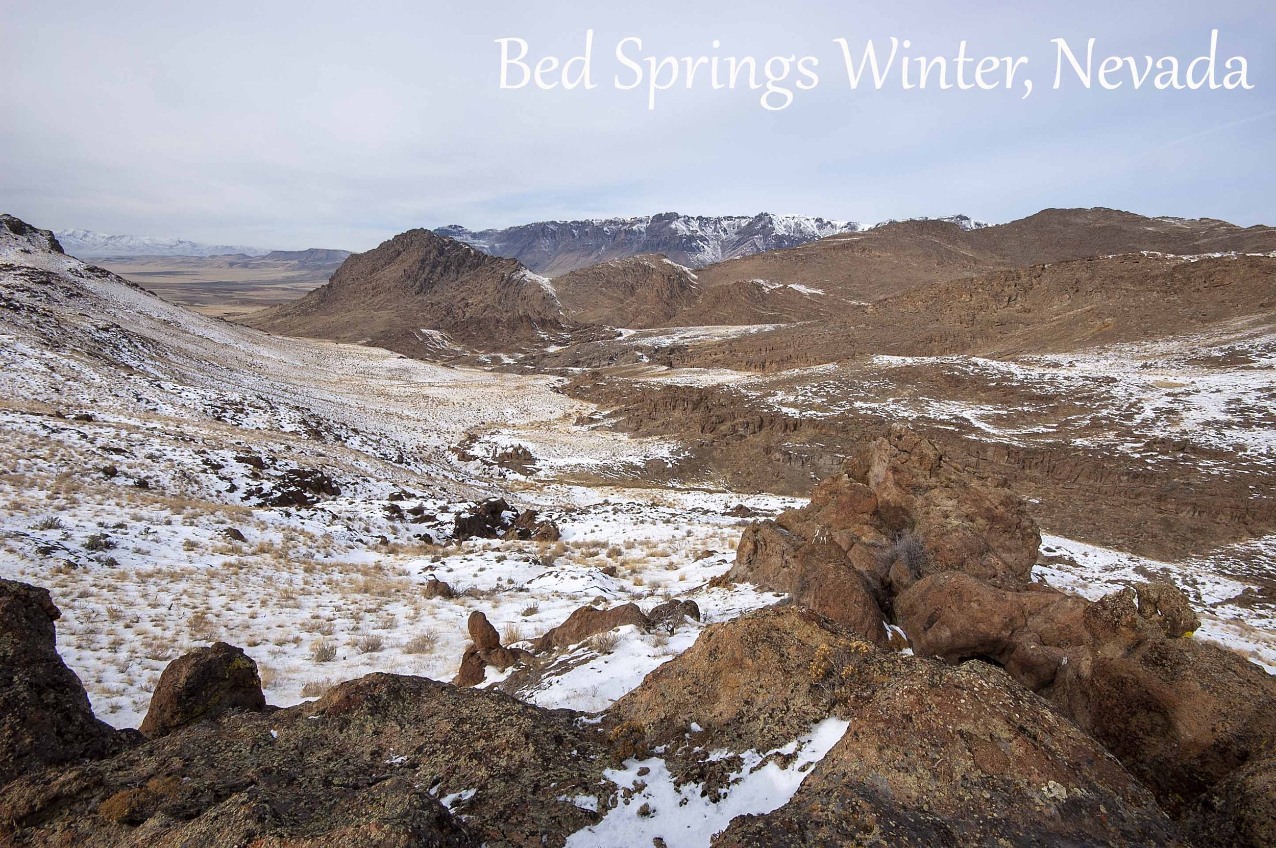 bed springs 12-30-06 18 x 12 copy 2.jpg