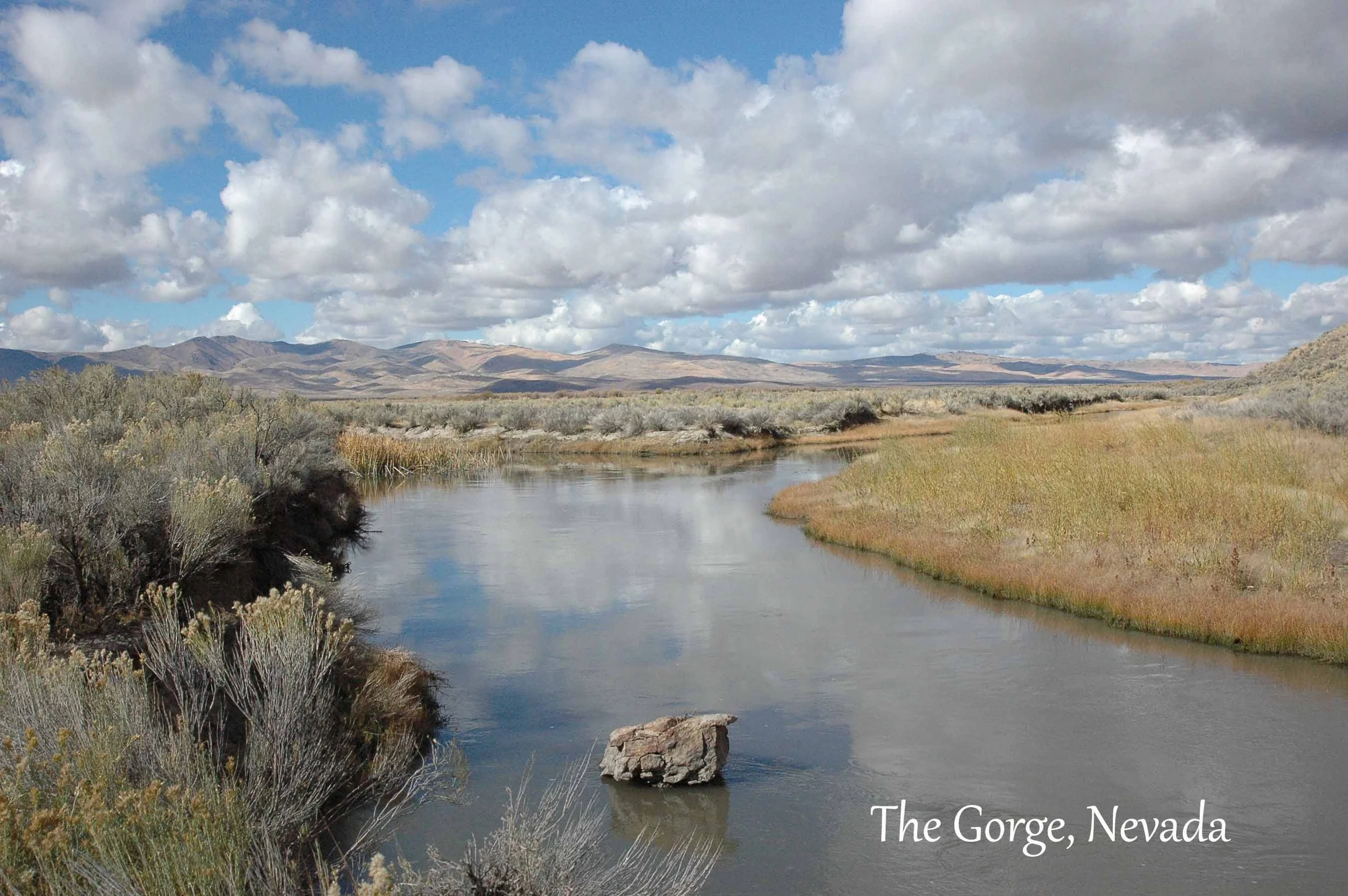 The gorge fall copy.jpg