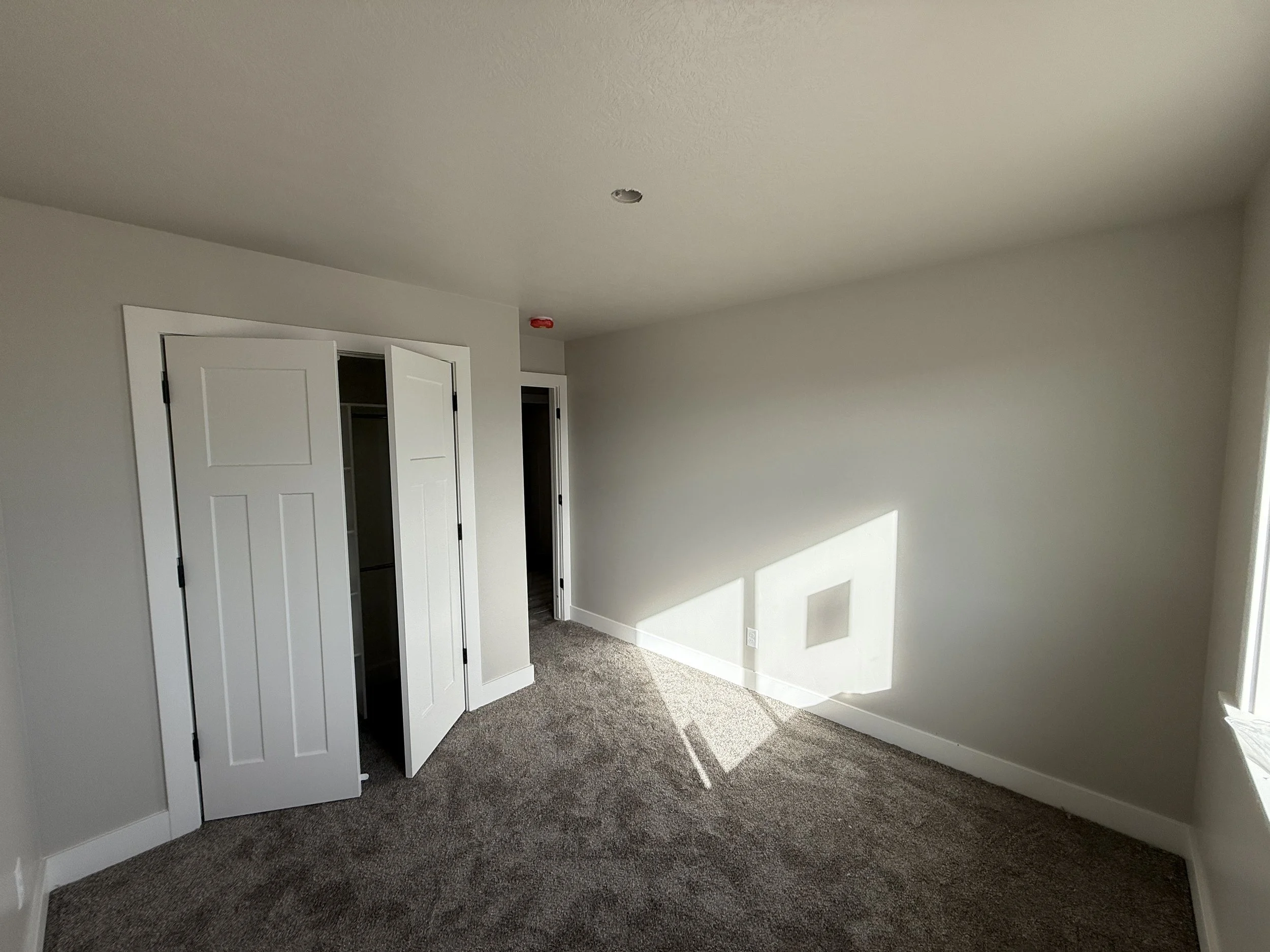 Photo Nov 04 2025, 2 19 53 PM.jpg