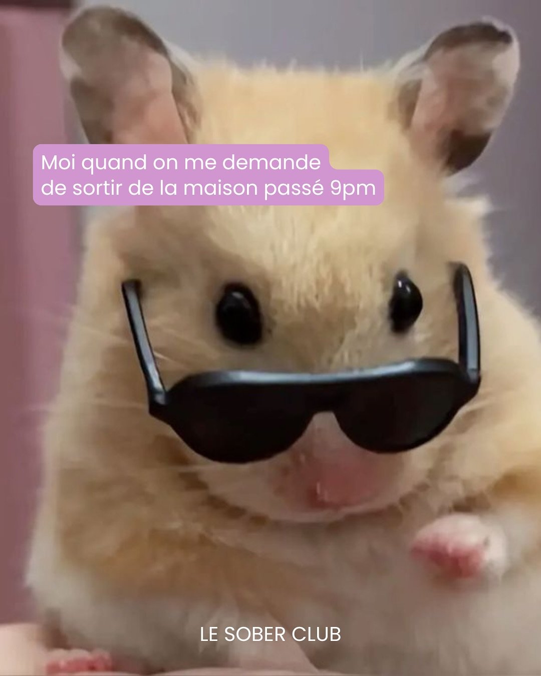 Quel sober hamster es-tu aujourd&rsquo;hui? 🙃