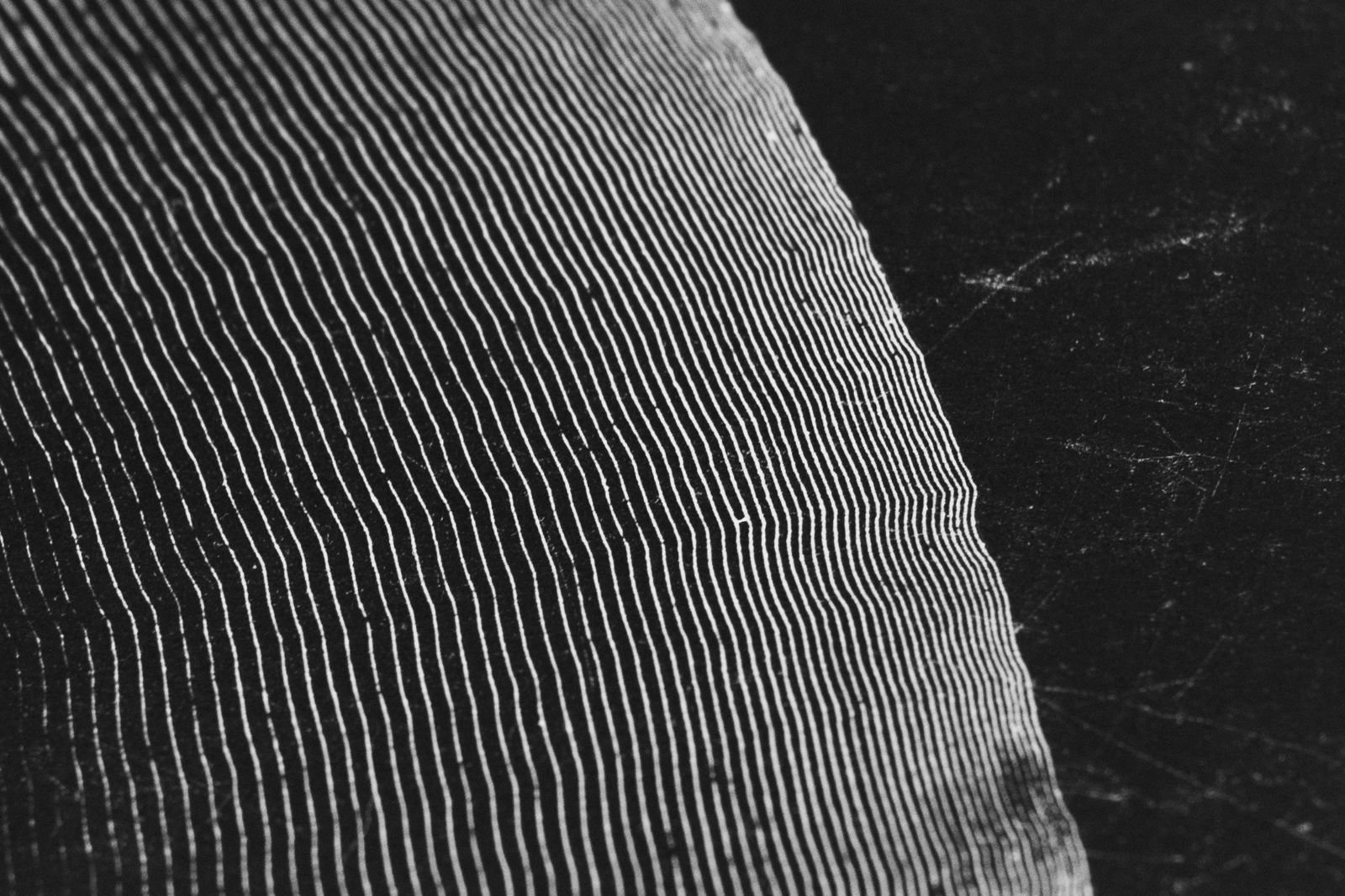 PHOTO-2025-12-19-12-02-44 5.jpg