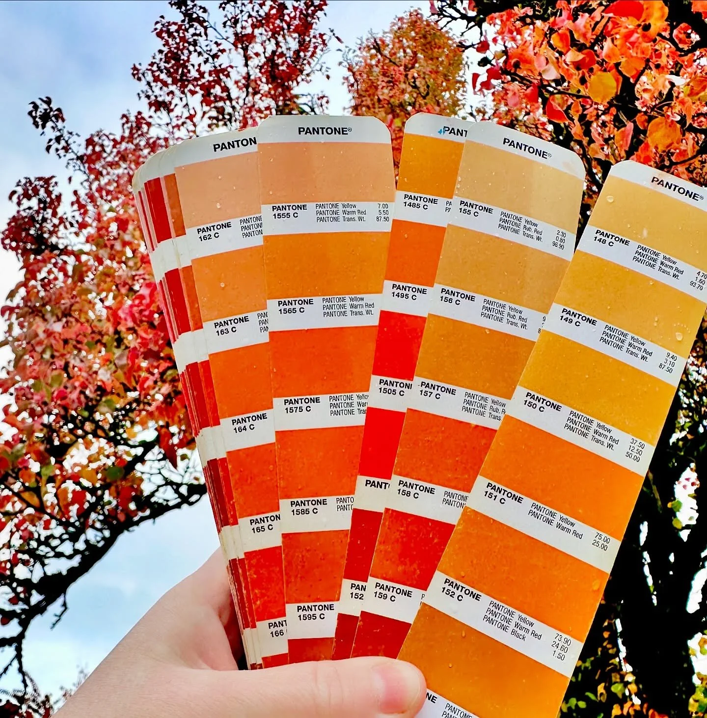 Whatever your colors, we can match them!
#colors #pantone