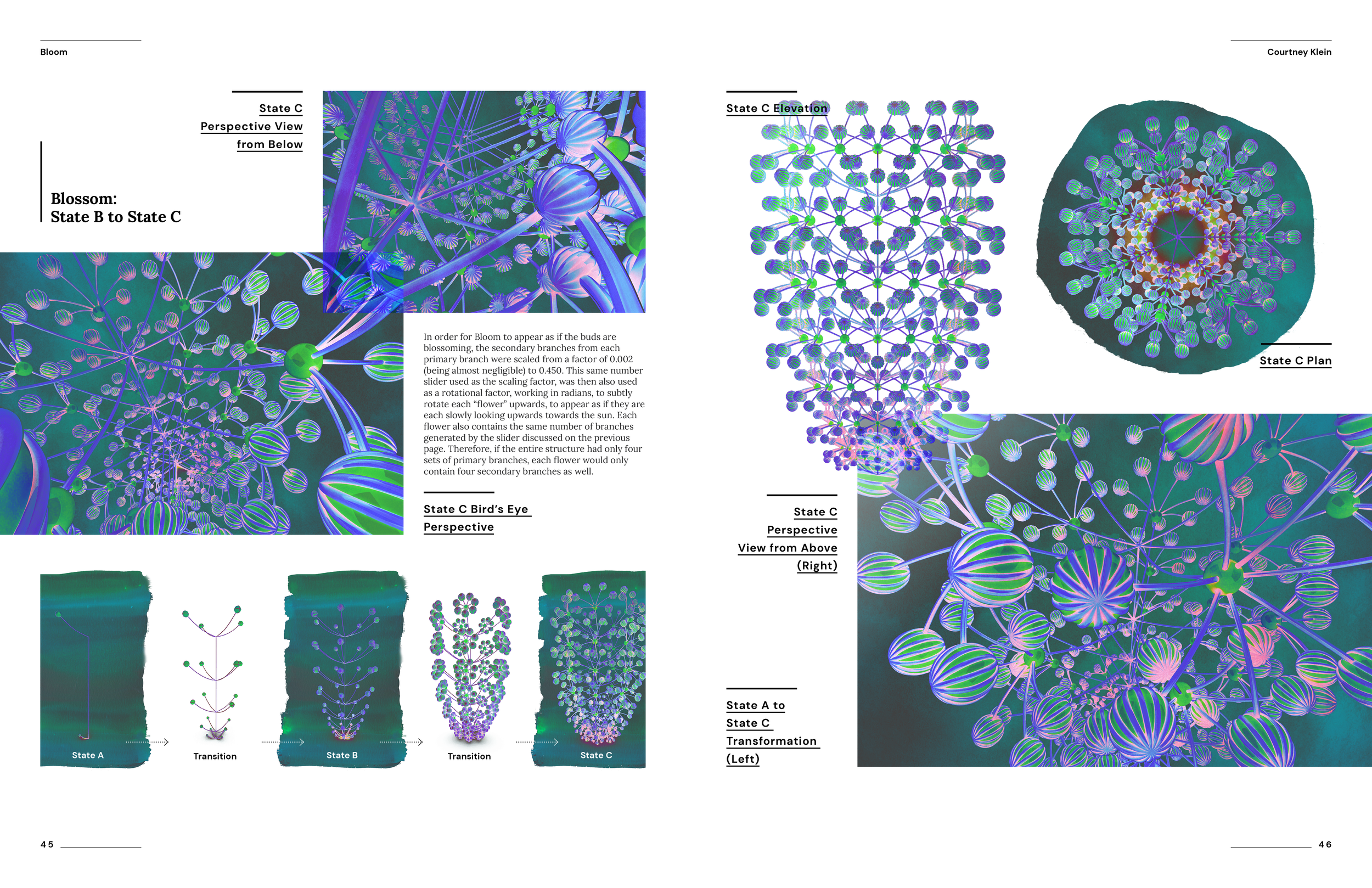 Courtney Klein Portfolio 2023_Bloom2.png