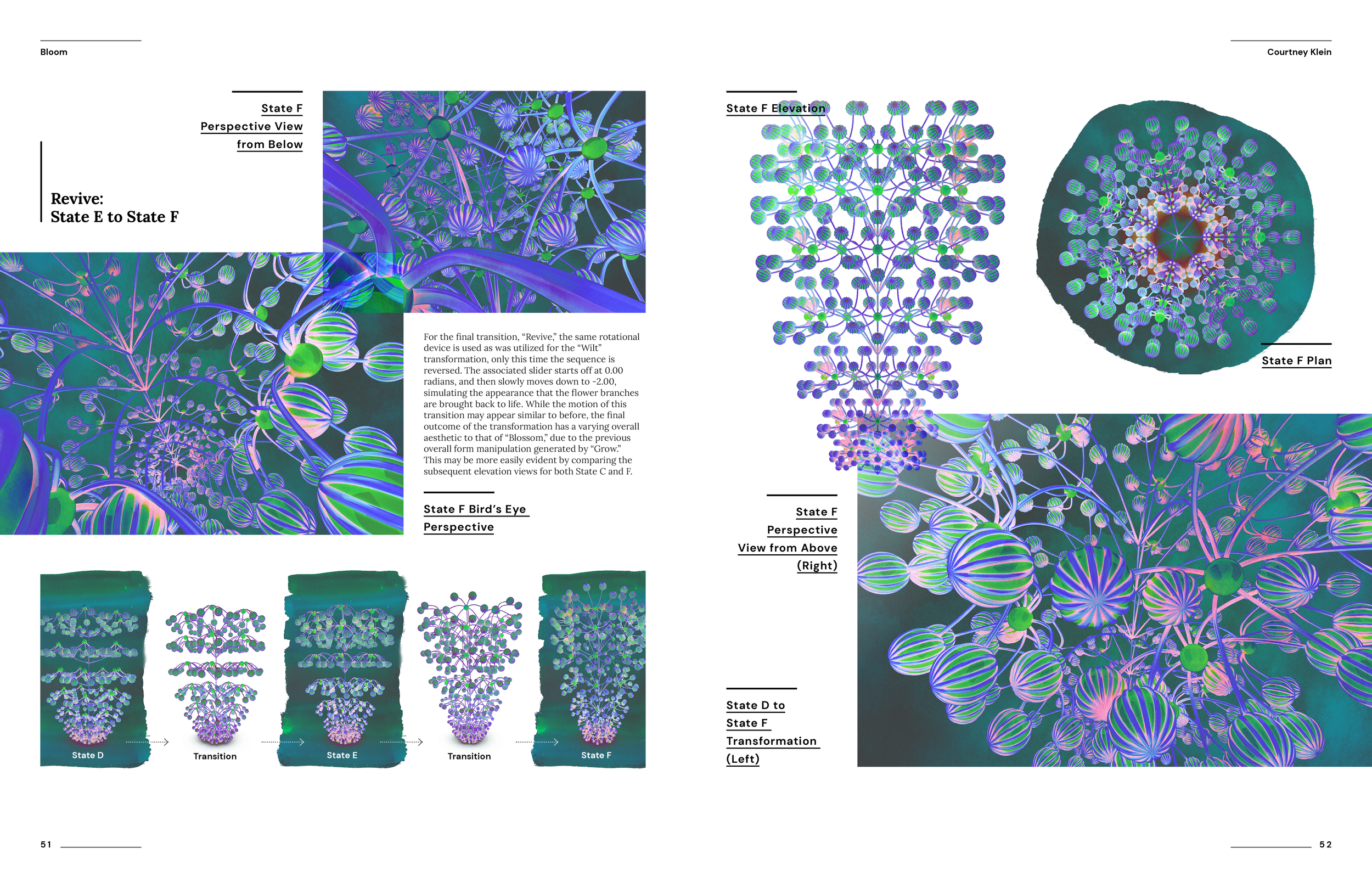 Courtney Klein Portfolio 2023_Bloom5.png