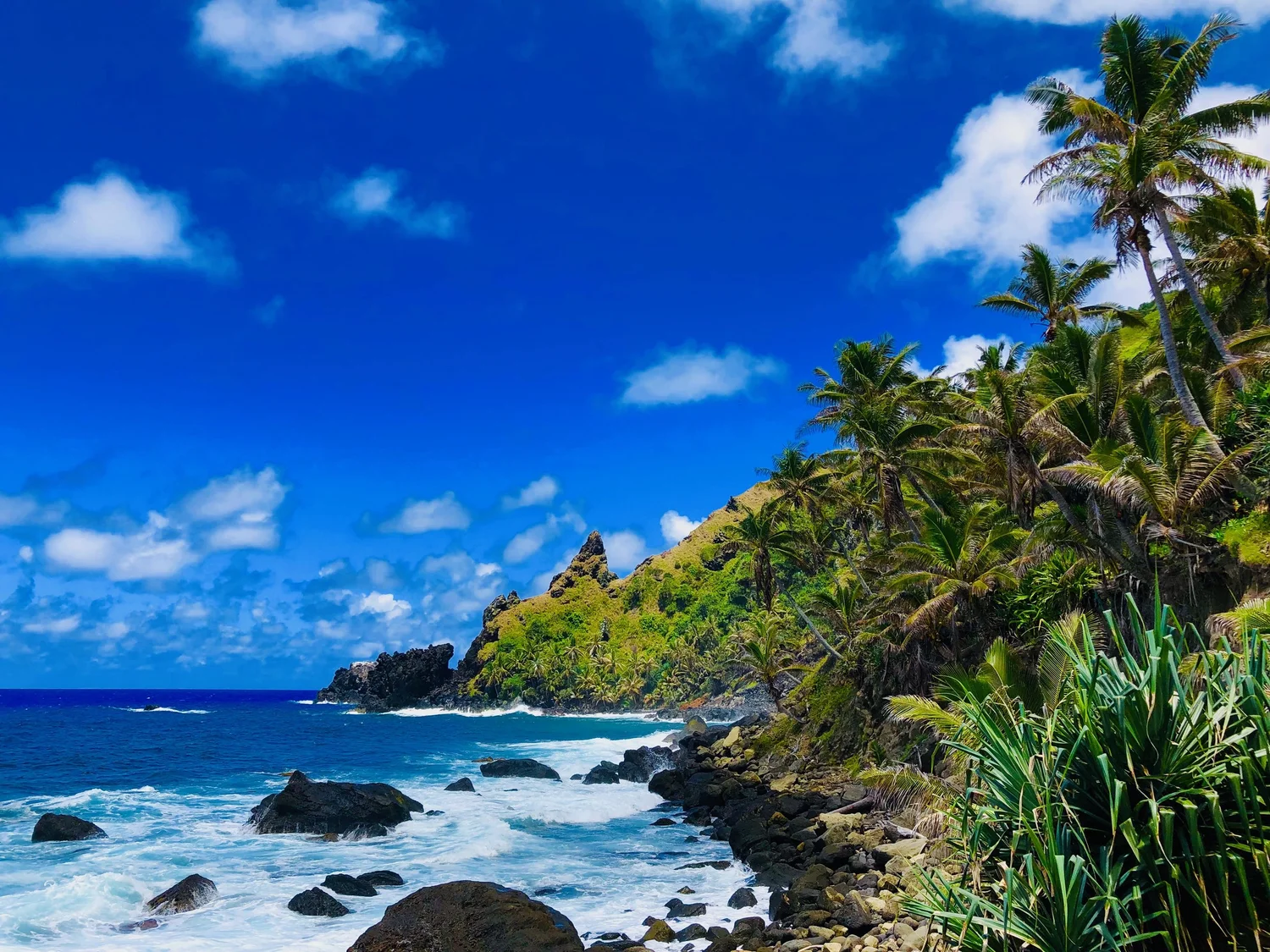 Our Living History — Pitcairn Island Immigration