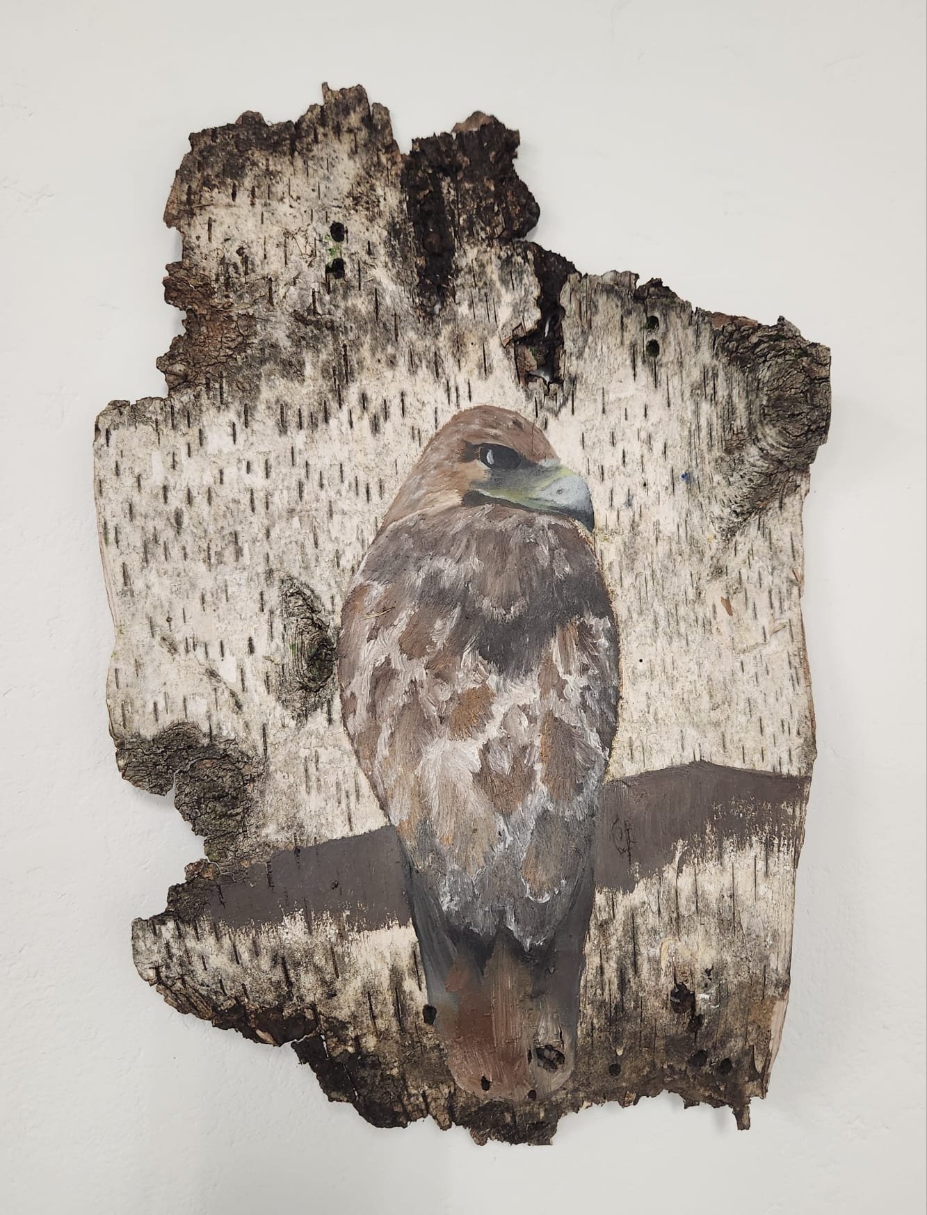 Hawk on Birch
2023
Oil on birch bark
9.5" x 15"