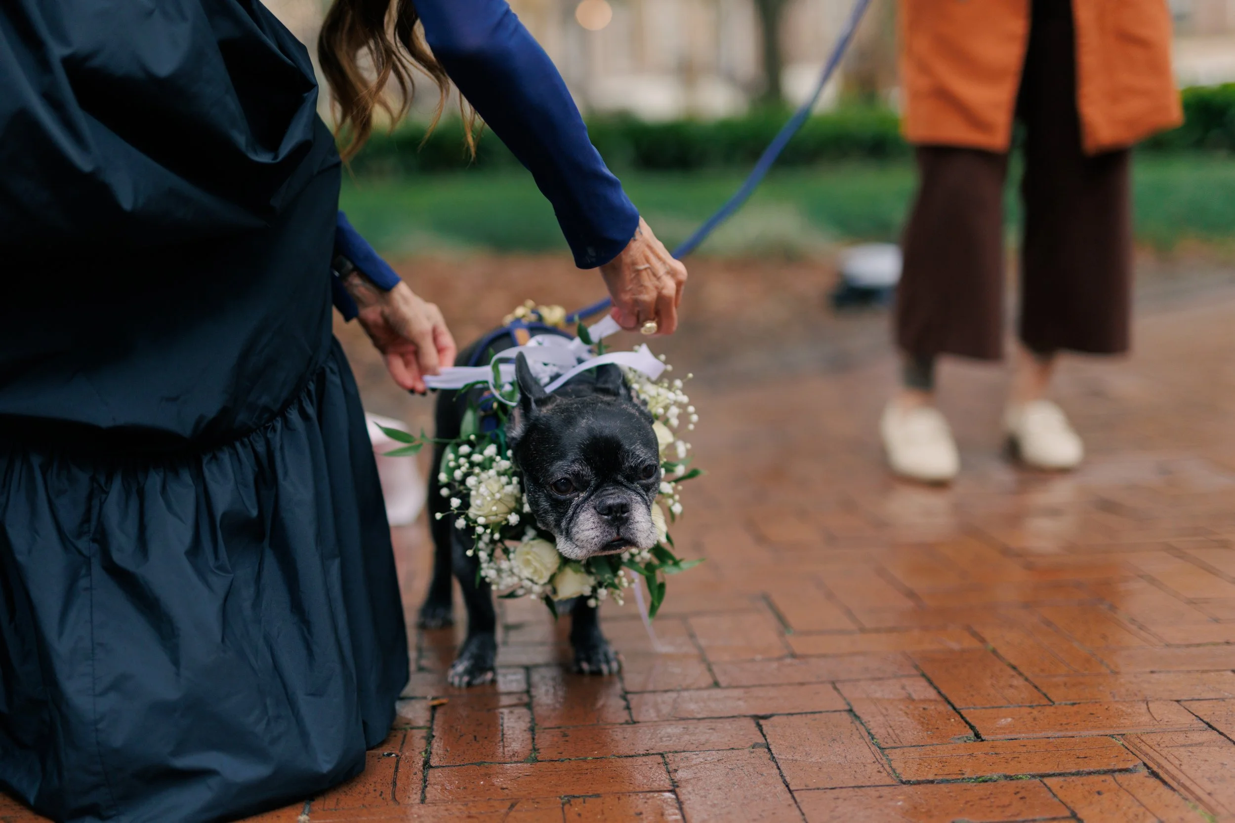 savannah-elopement-ceremony.jpg