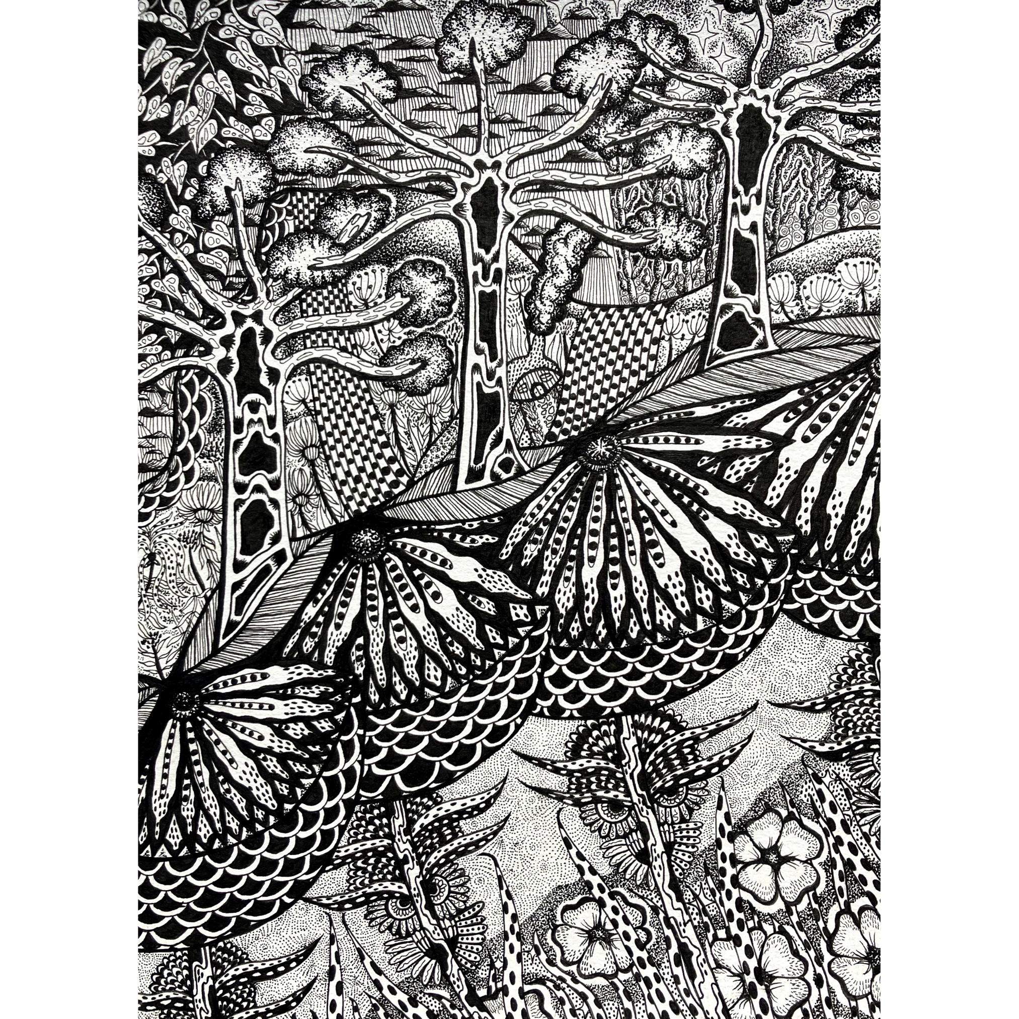 'Walk In The Forest'