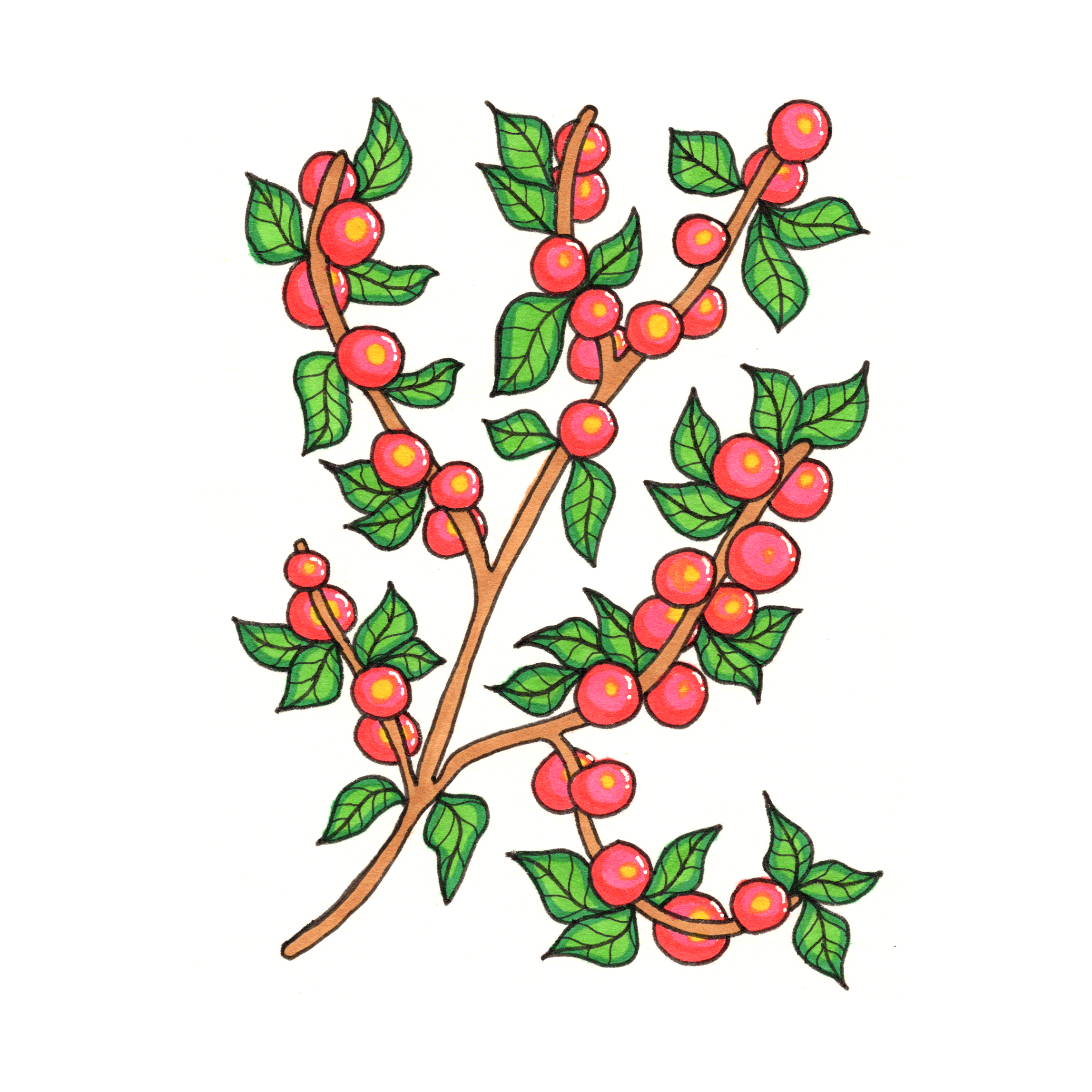 6.png