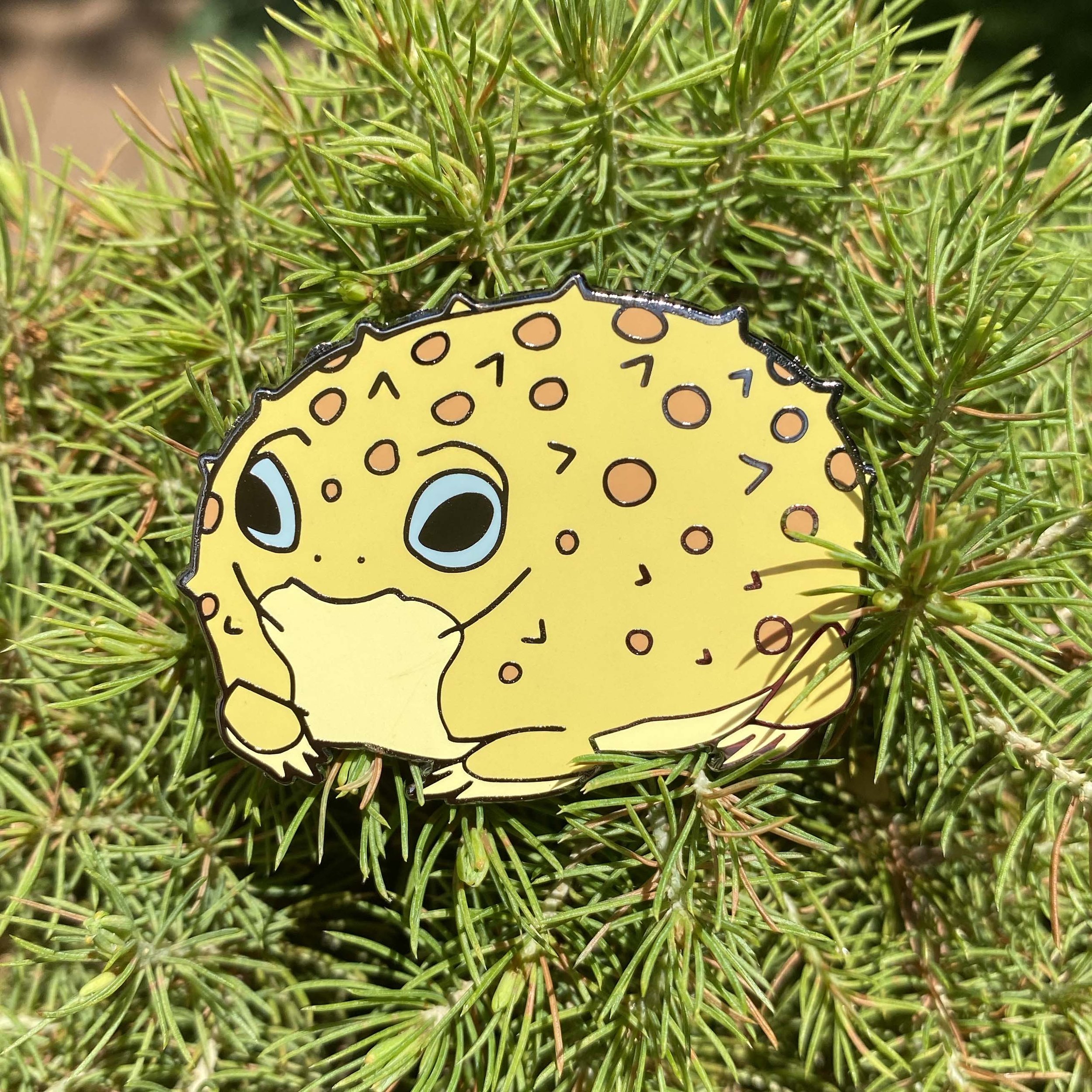 Puffer01.jpg