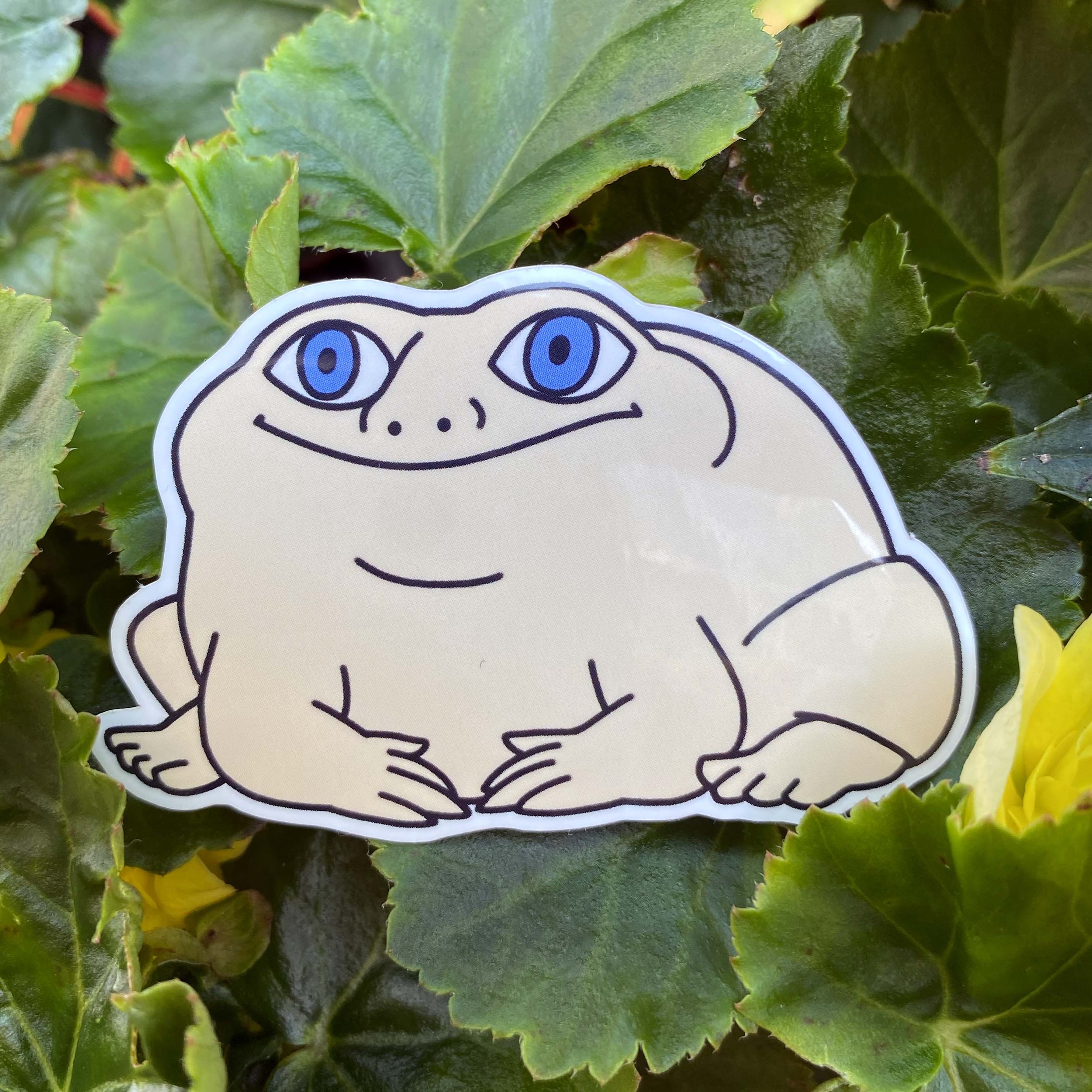 ACompletelyRegularFrog.jpg