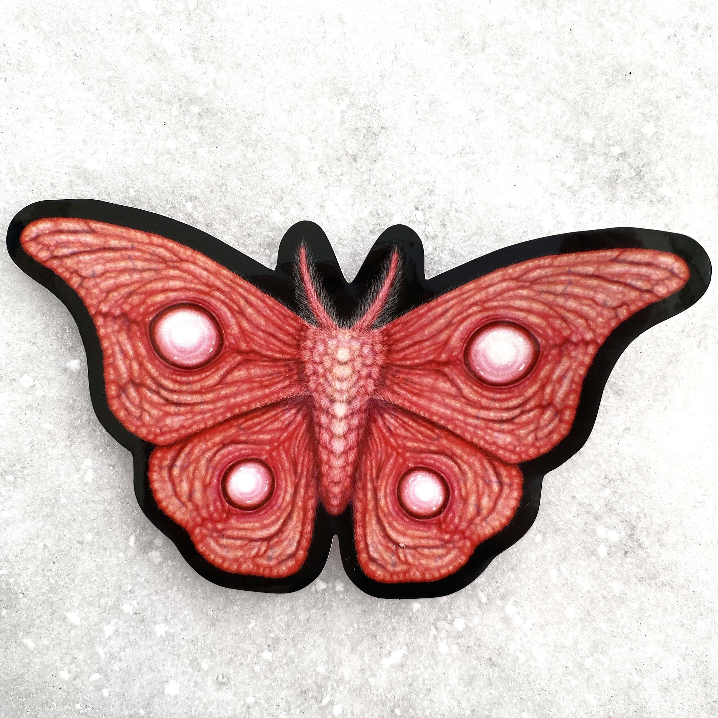 FleshMoth02.jpg