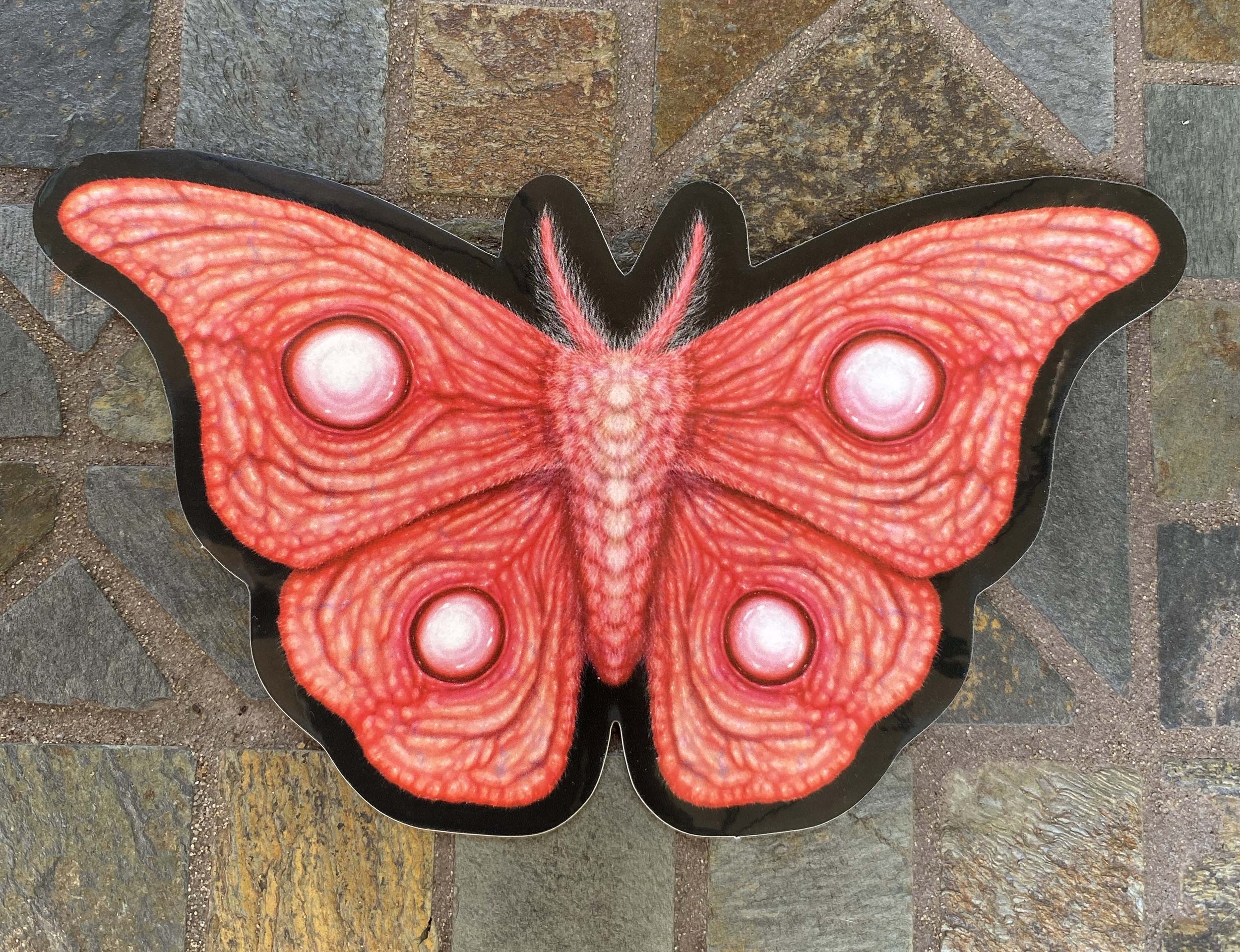 FleshMoth03.jpg