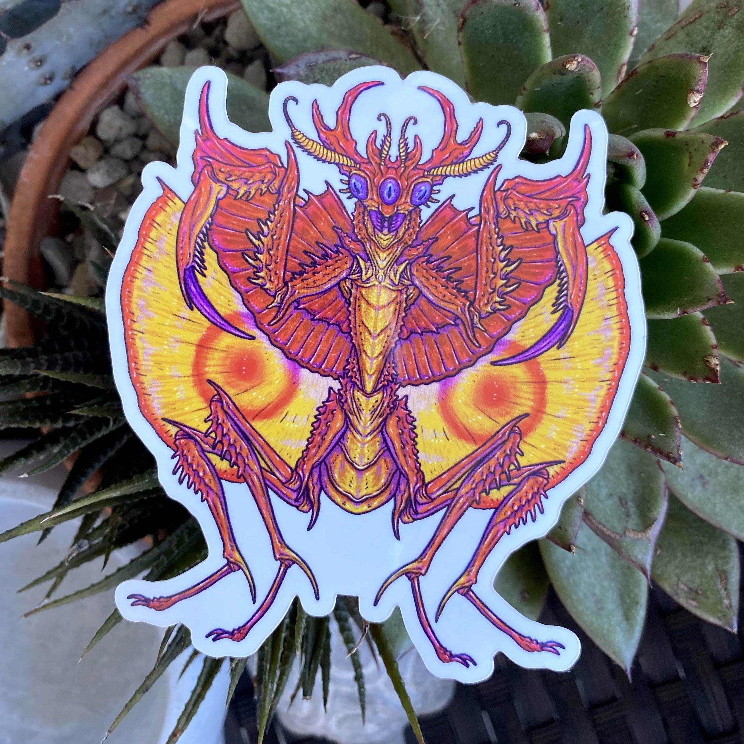 PsychadelicMantis.jpg