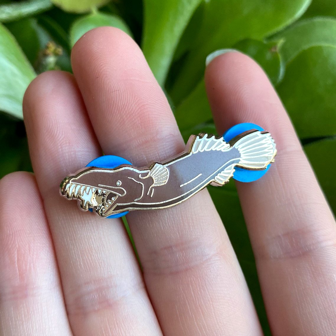 Thaumatichthys_axeli02.jpg