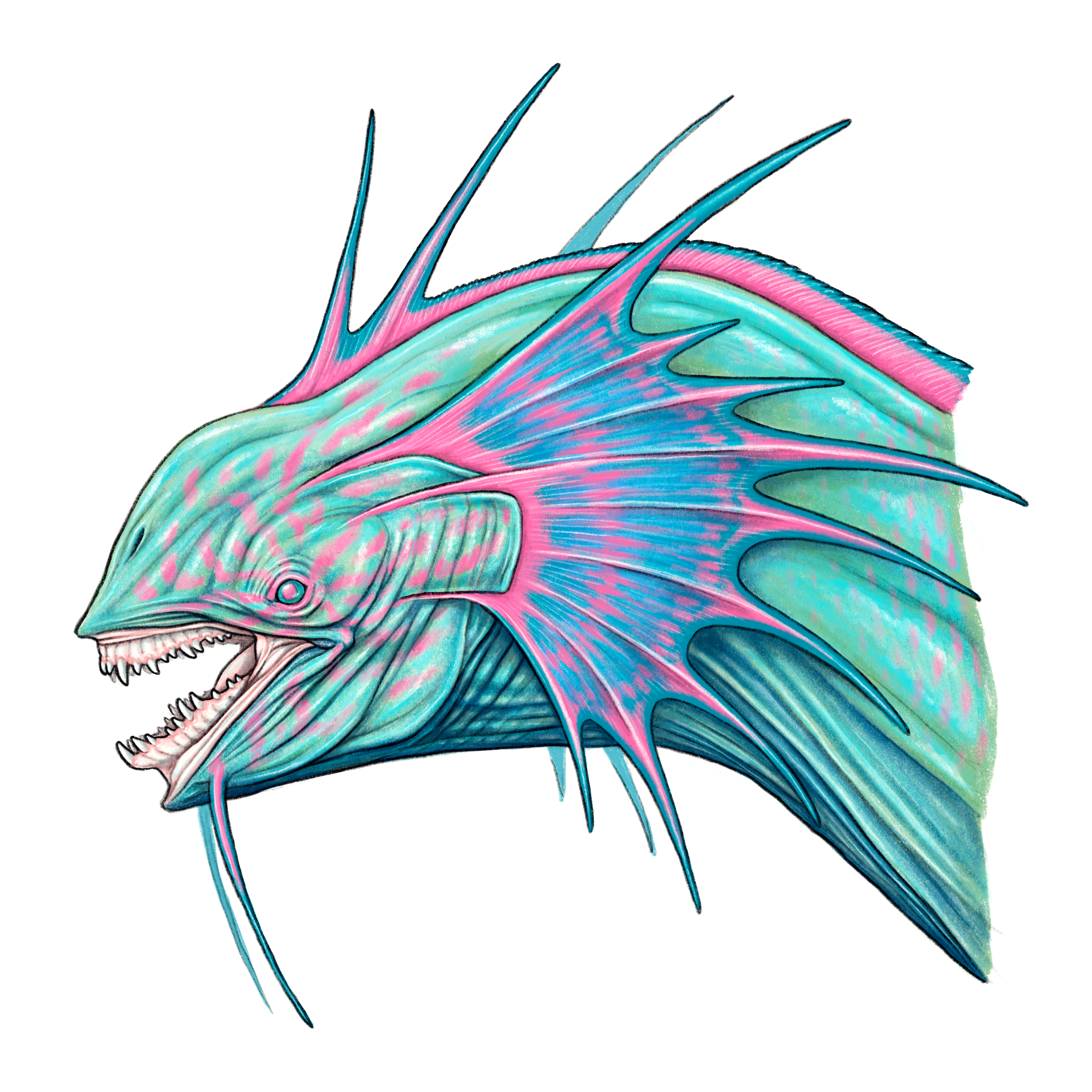 StarEyeParrotfish.png