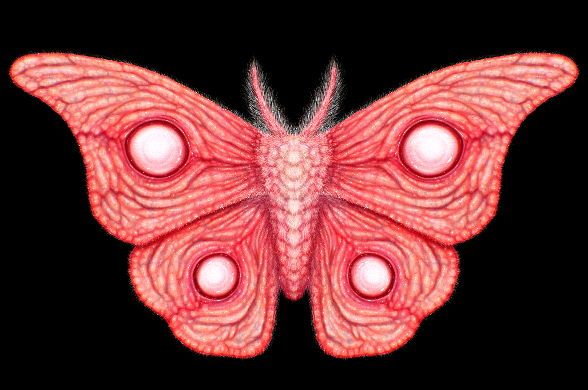 fleshmoth.png