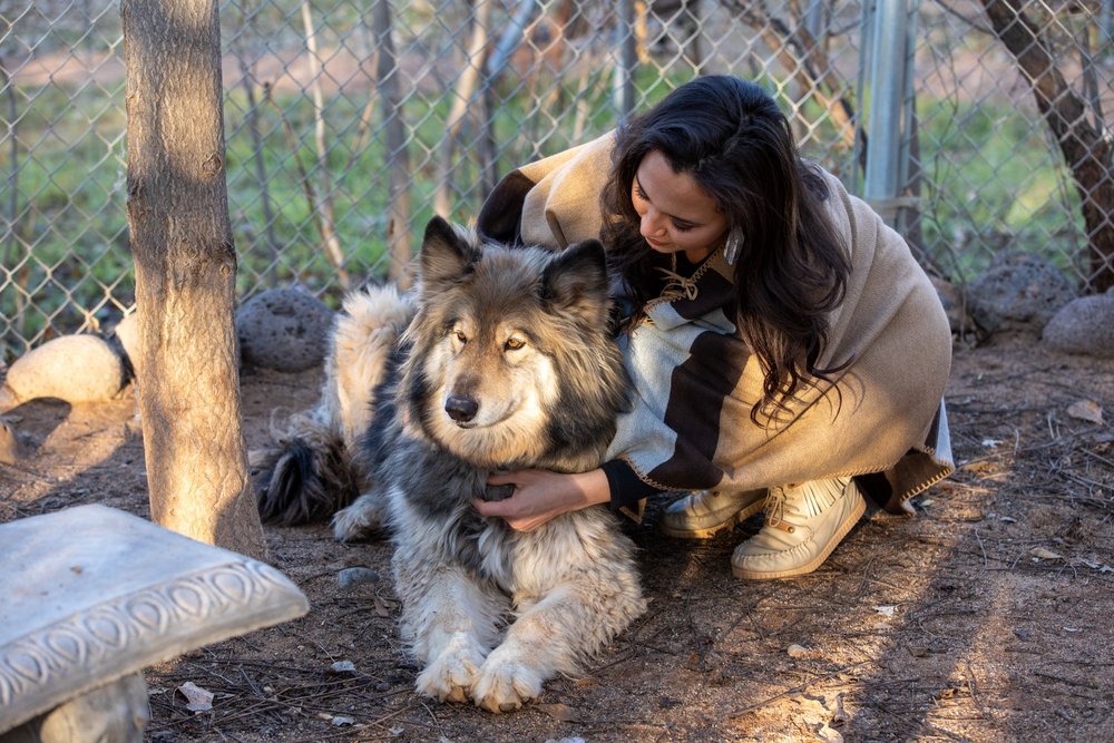 About — Sedona Wolf Sanctuary
