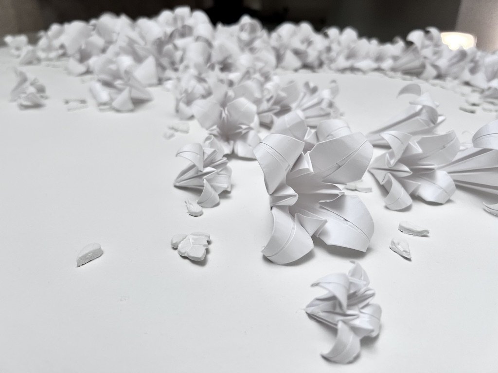 A43C7909-61C9-48D6-8C1A-033DCCBA5C07_1_105_c.jpeg