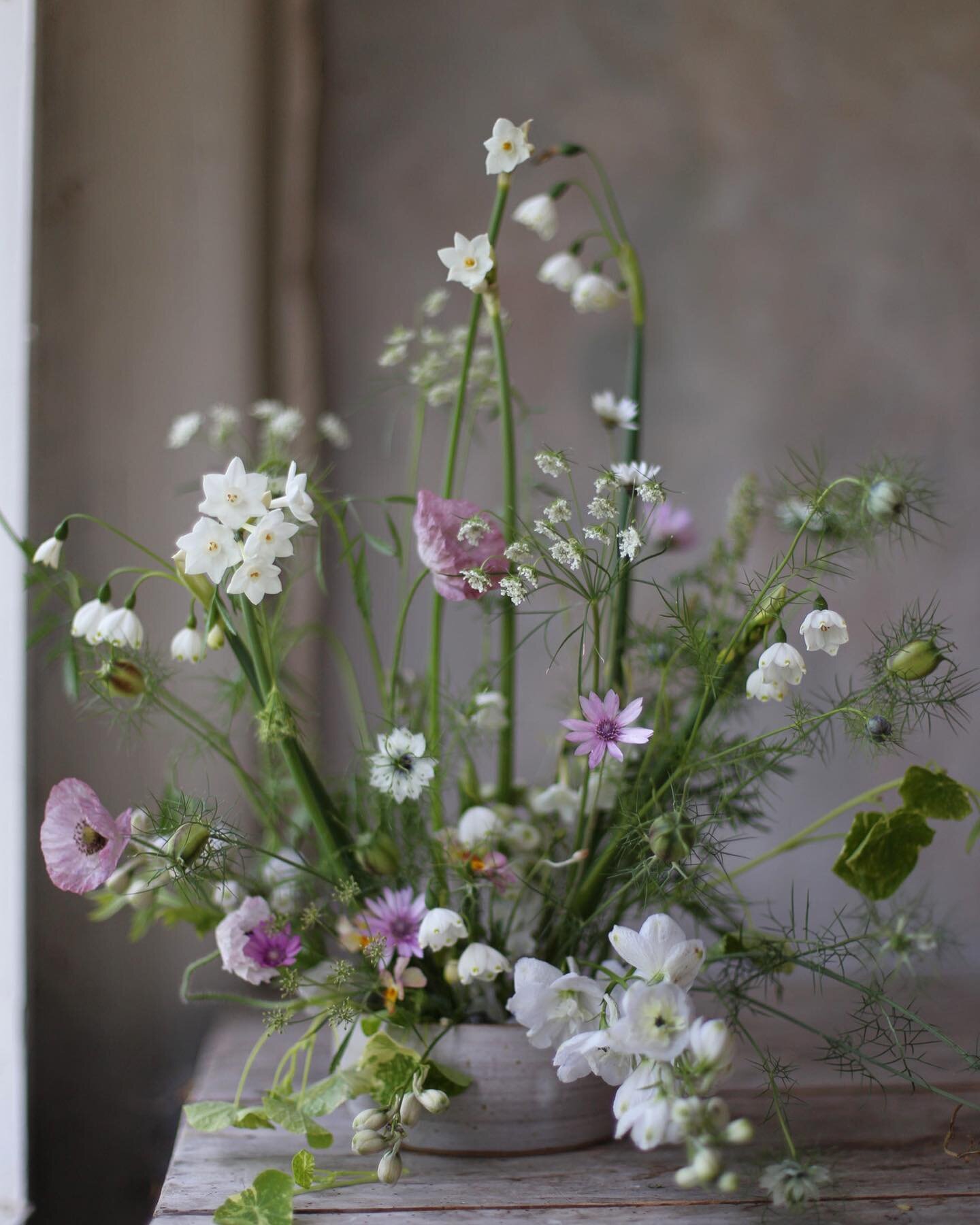 Slim pickings&hellip;. I enjoy this quiet flower spell in the garden as it makes their return that more joyous come Spring ✨