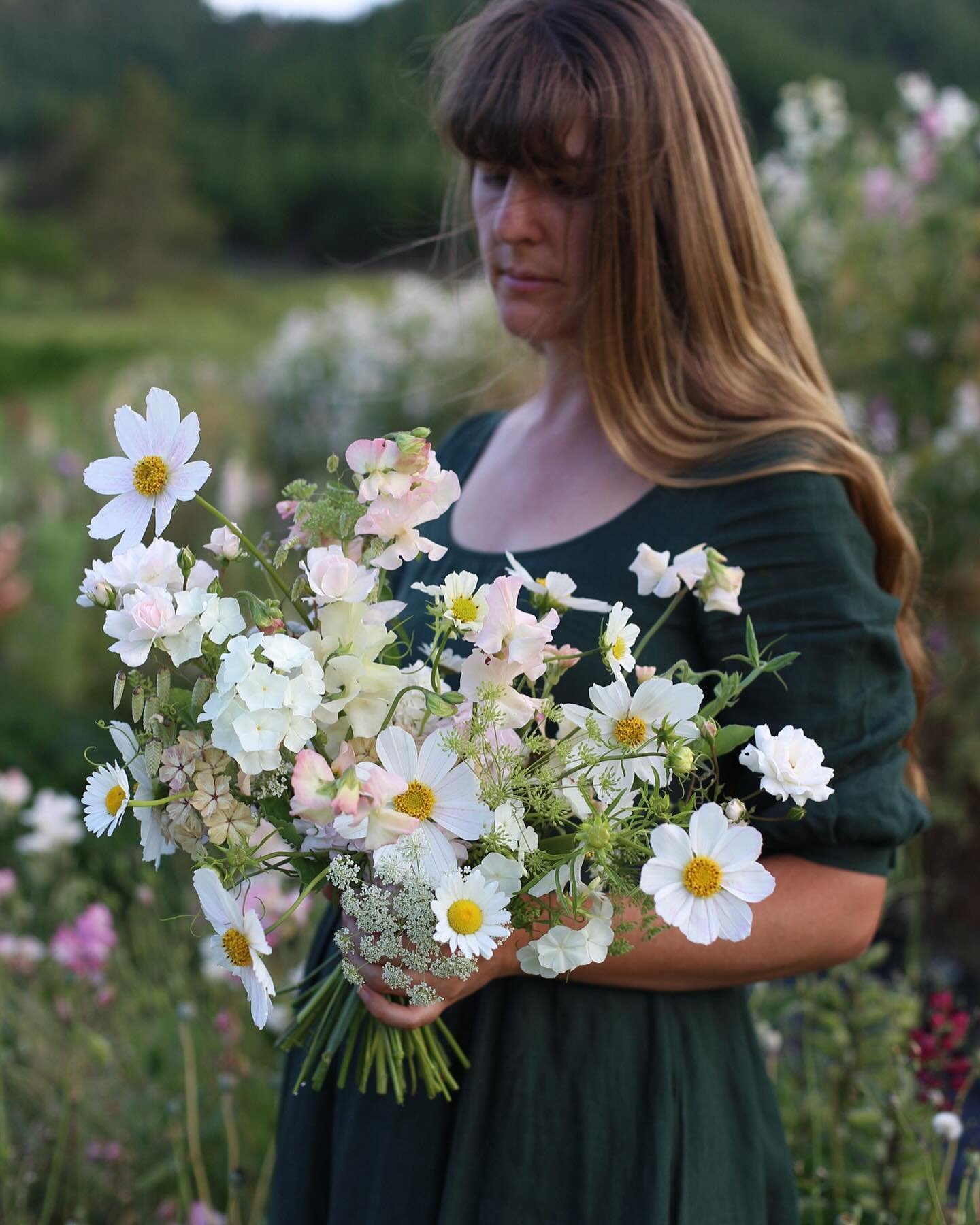 For Katie&hellip; 🤍

Cosmos &ldquo;Versailles Flush&rdquo;
Phlox &ldquo;Alba&rdquo; &amp; &ldquo;Creme Br&ucirc;l&eacute;e&rdquo;
Ammi Majus
Sweet Peas &ldquo;Piggy Sue&rdquo;
Stock &ldquo; Quartet Cherry Blossom&rdquo;
Wild Daisies, Briza and Roses