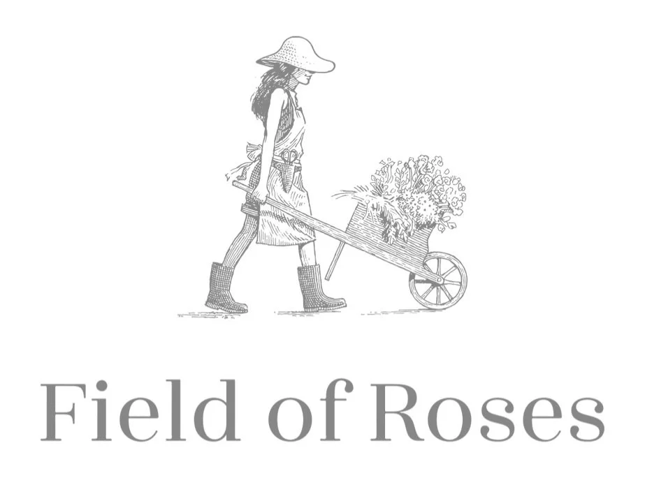 Field Of Roses Drawing
