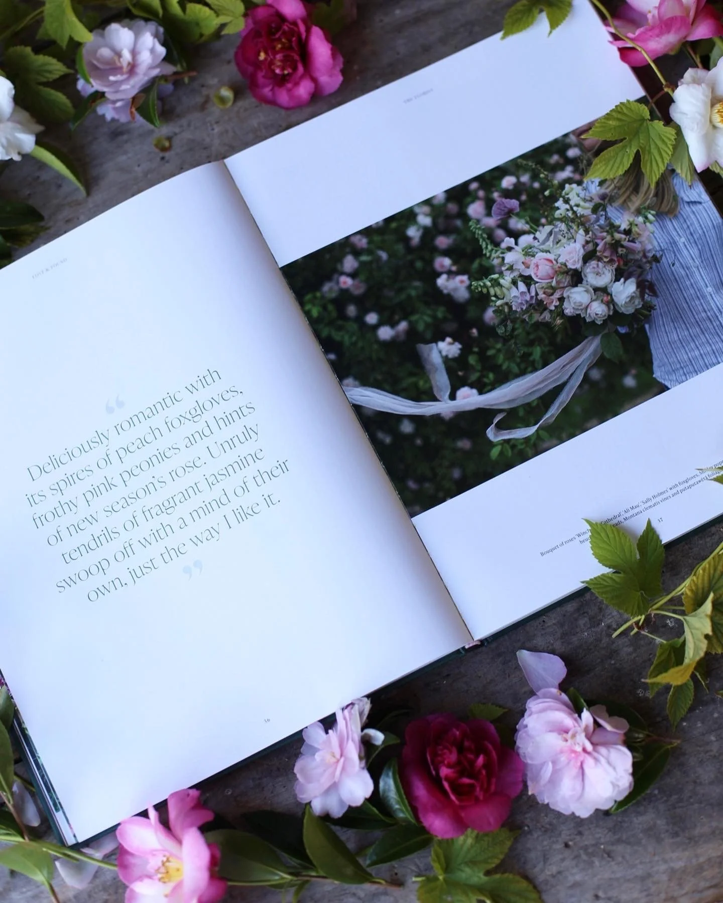 1AAA62E3-7784-4D04-A448-0F97096E79A4.jpeg