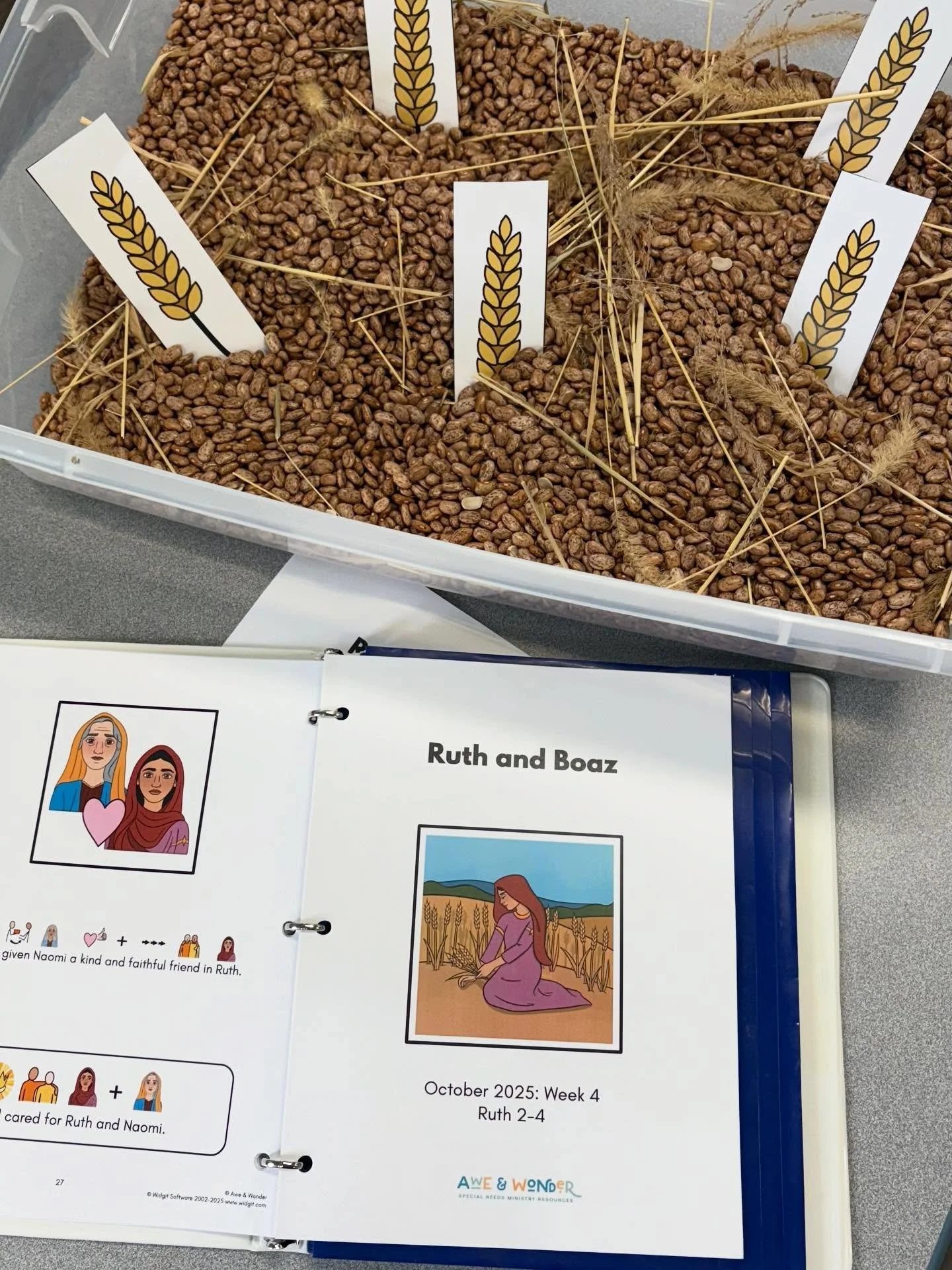 Ruth gathered wheat in Boaz&rsquo;s field&hellip;and today so did we! 🌾
We love incorporating sensory play into Awe &amp; Wonder&rsquo;s lesson plans! 

#disabilityministry #specialneedsministry