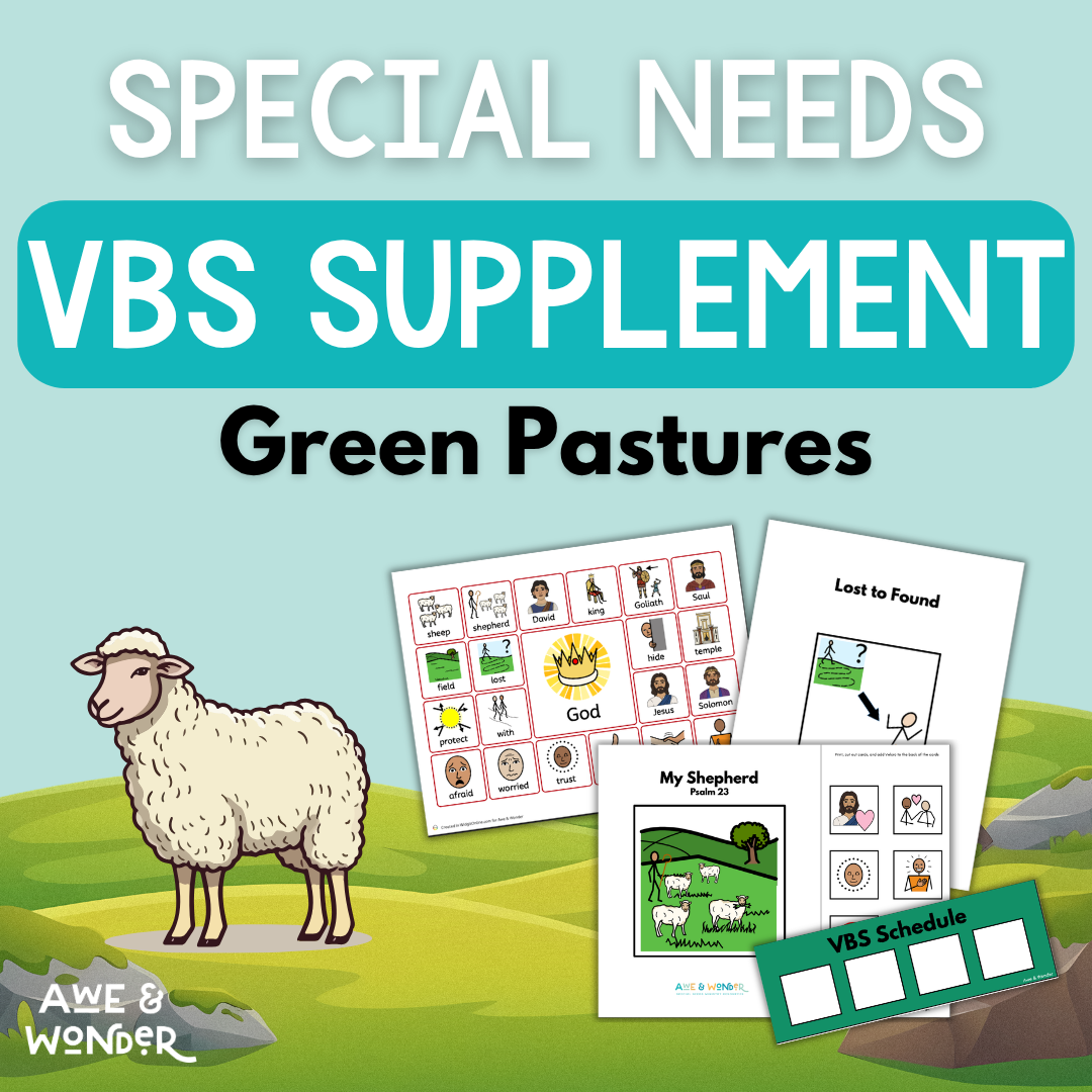 Emerald-Crossing-VBS-2026-Special-Needs.png