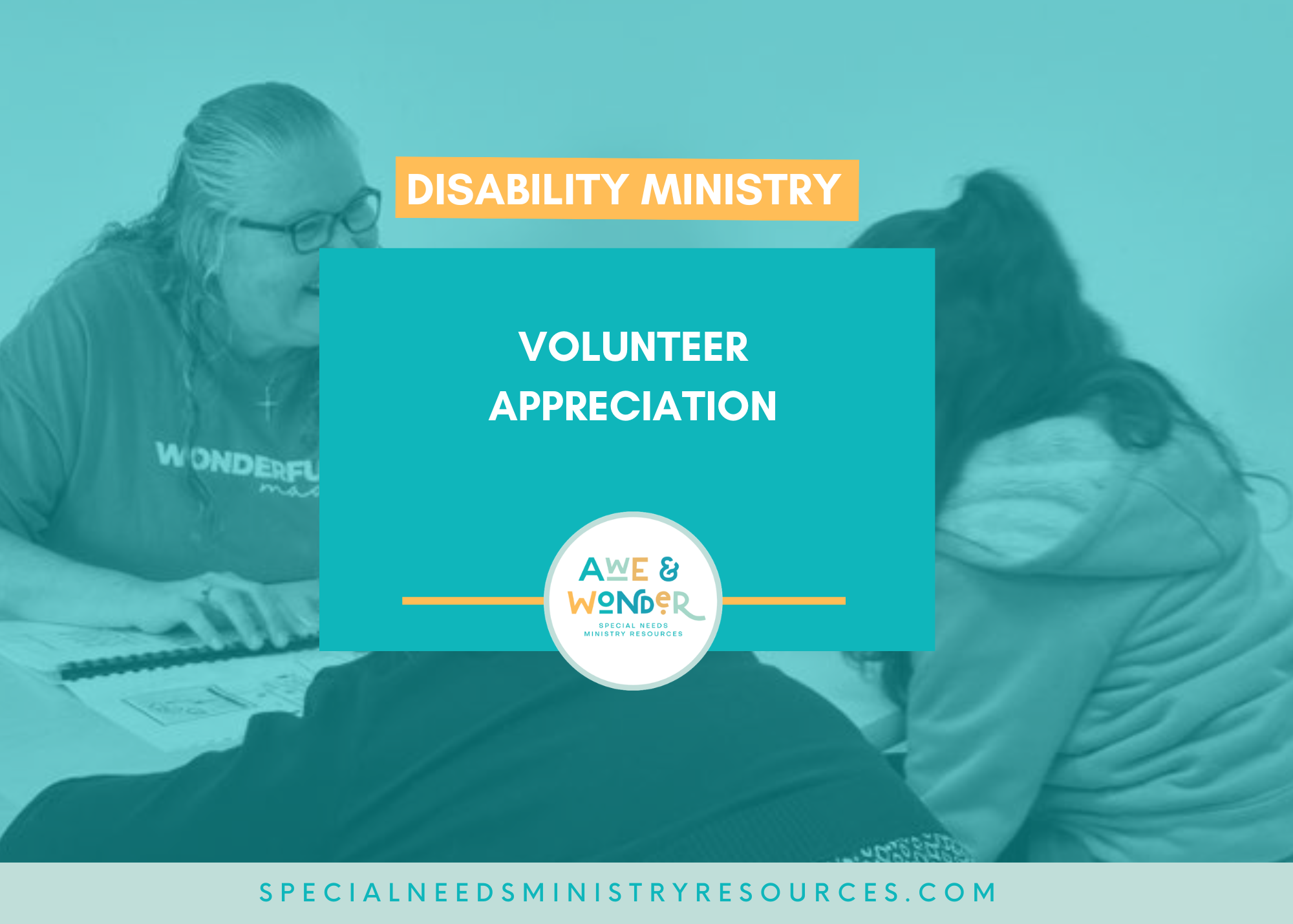 Volunteer Appreciation