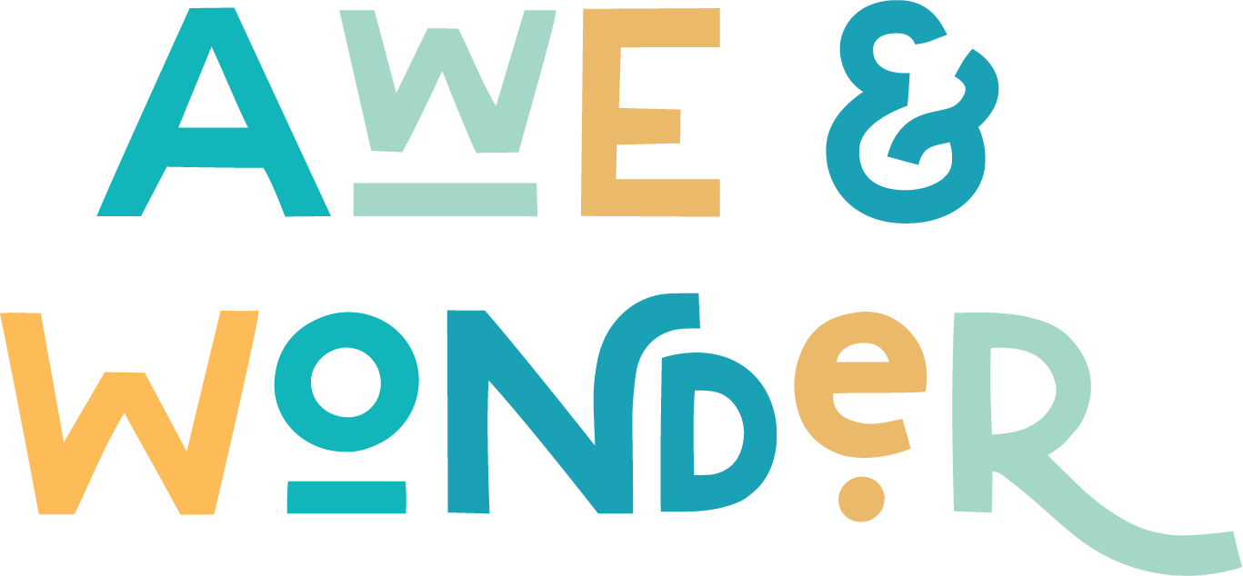 Awe &amp; Wonder | Special Needs Ministry Resources