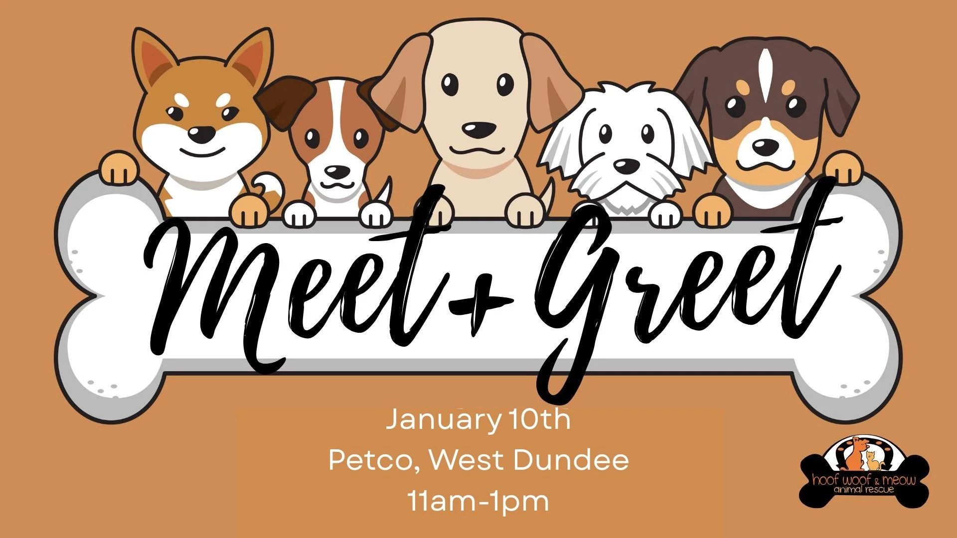 Meet and Greet at PetCo!