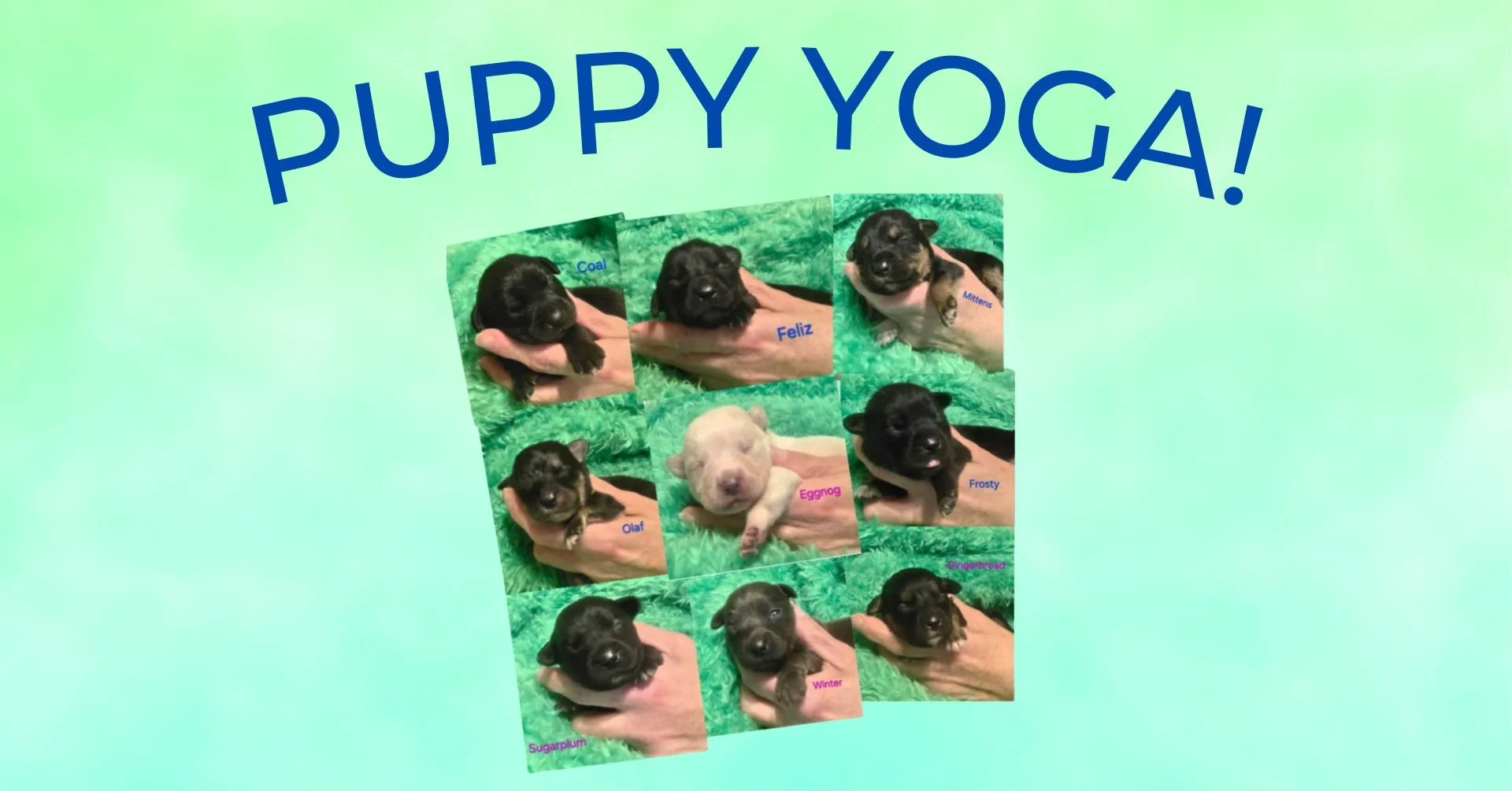 Puppy Yoga is Back!