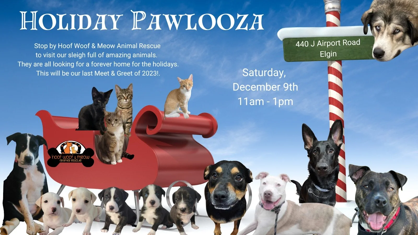 Holiday Pawlooza