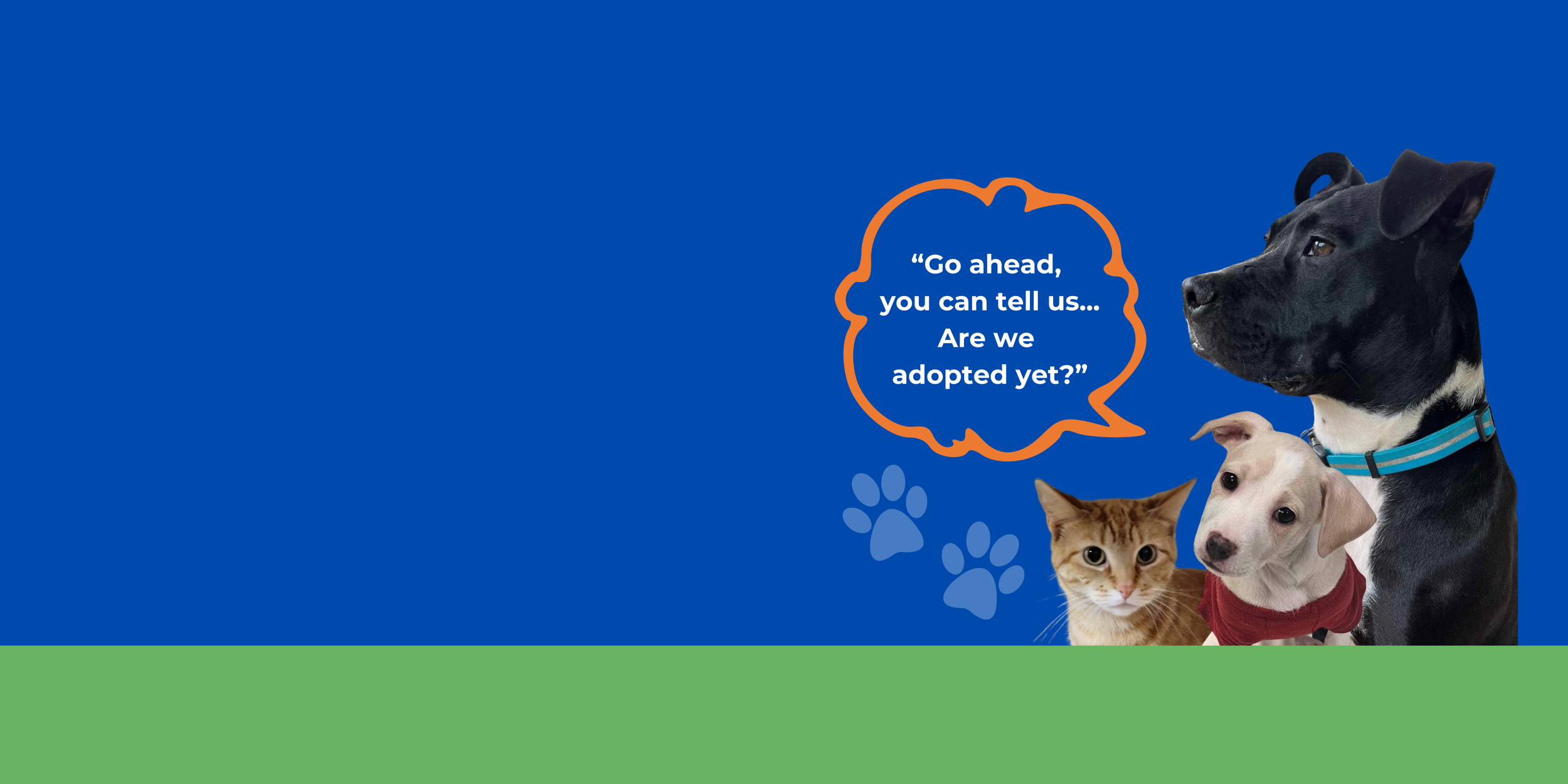 Animal Rescue Photo Strip
