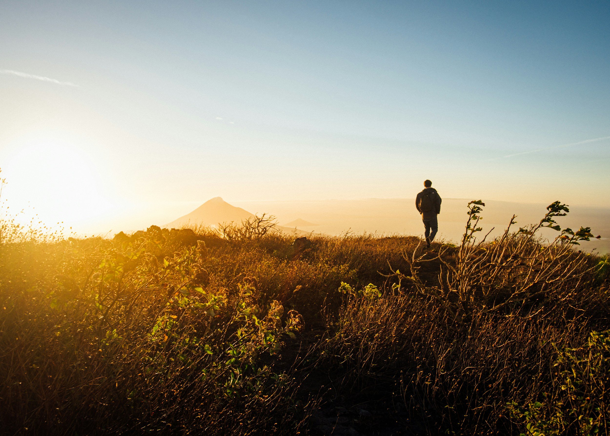 Prazosin for PTSD Nightmares: A Game-Changer in Treatment