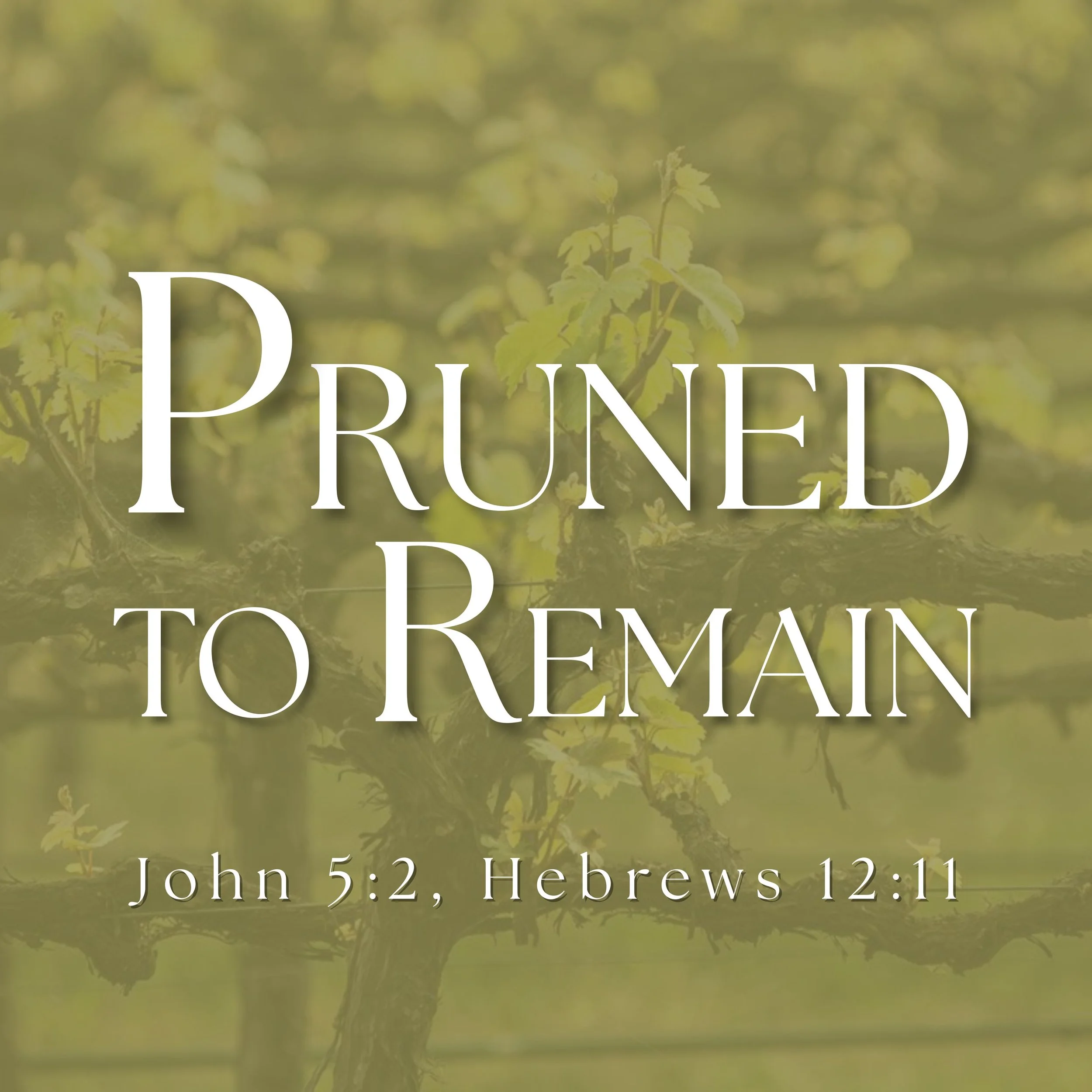 Pruned to Remain