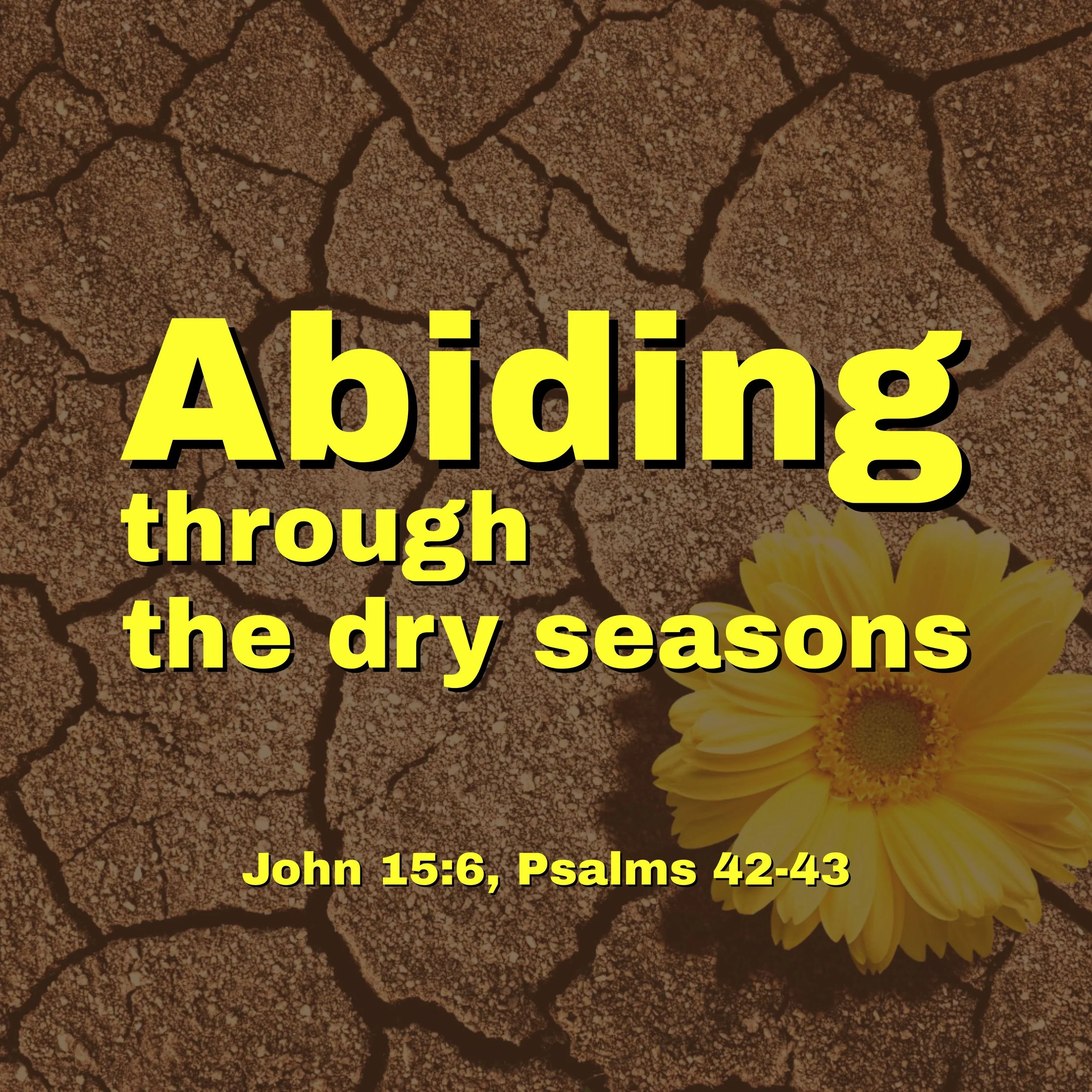 Abiding Through the Dry Season